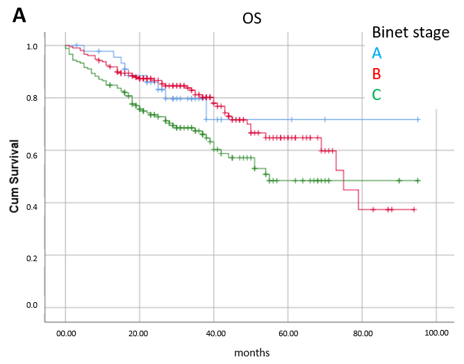 Cancers 17 02302 g002a
