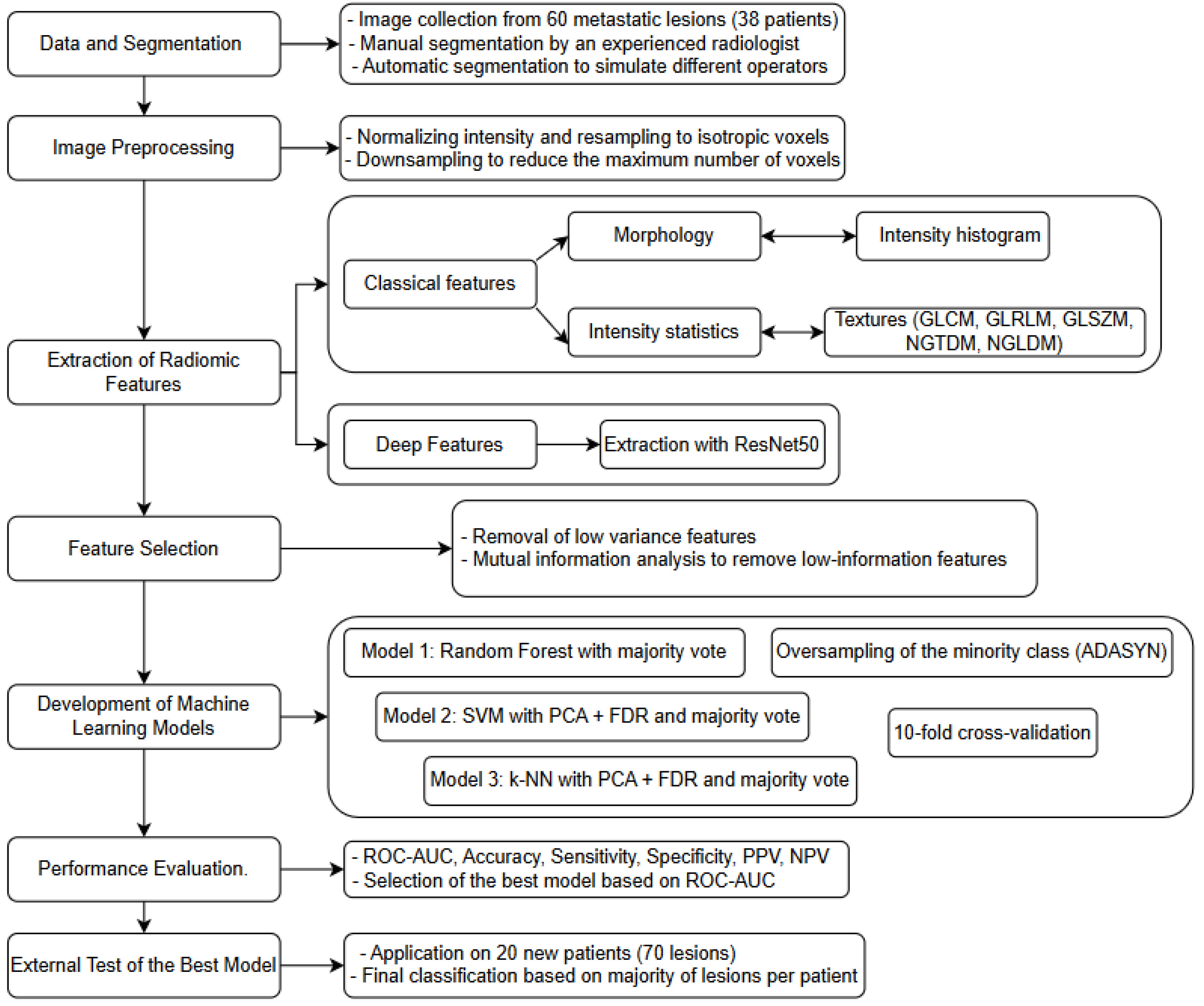 Cancers 17 02304 g001