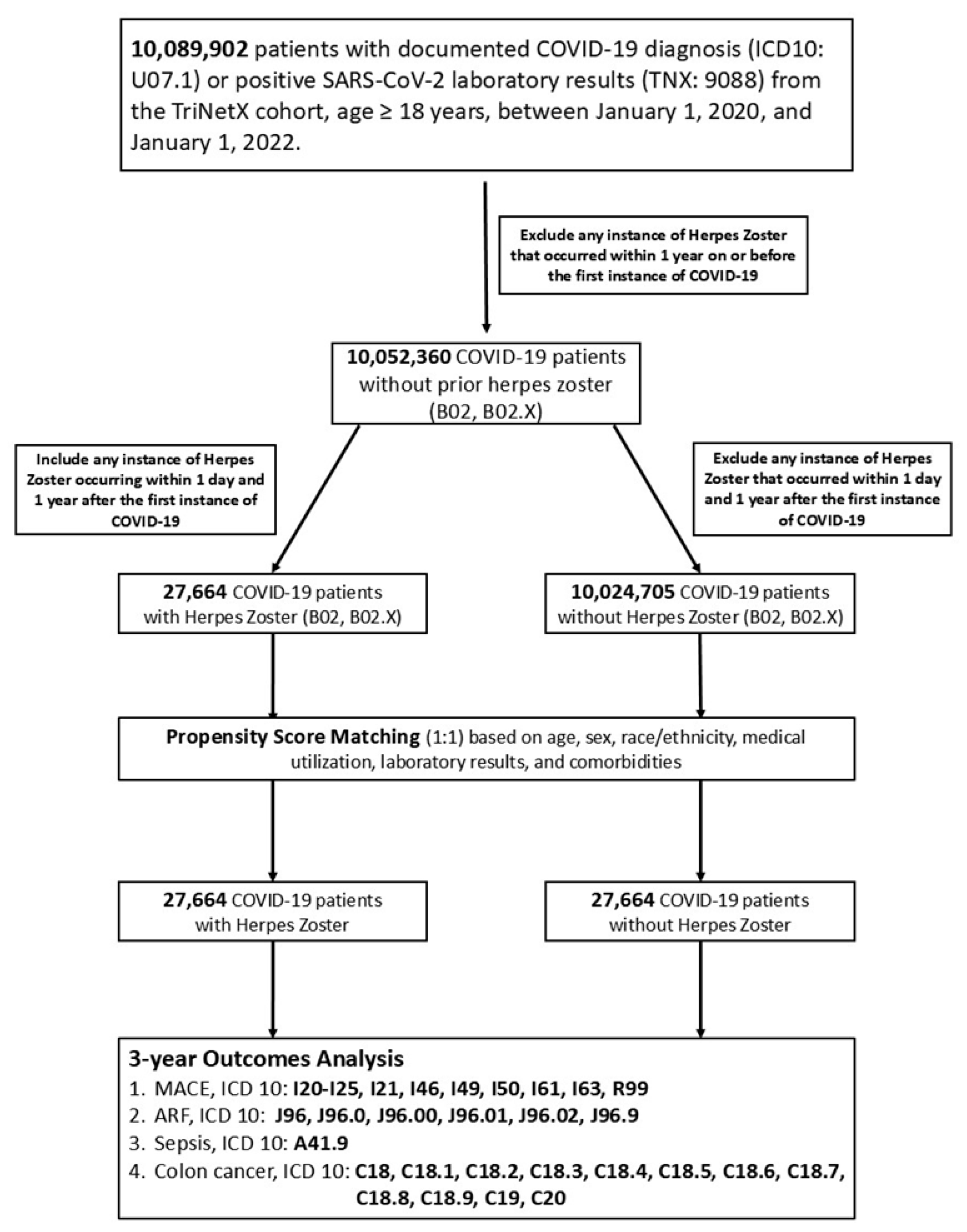 Cancers 17 02306 g001
