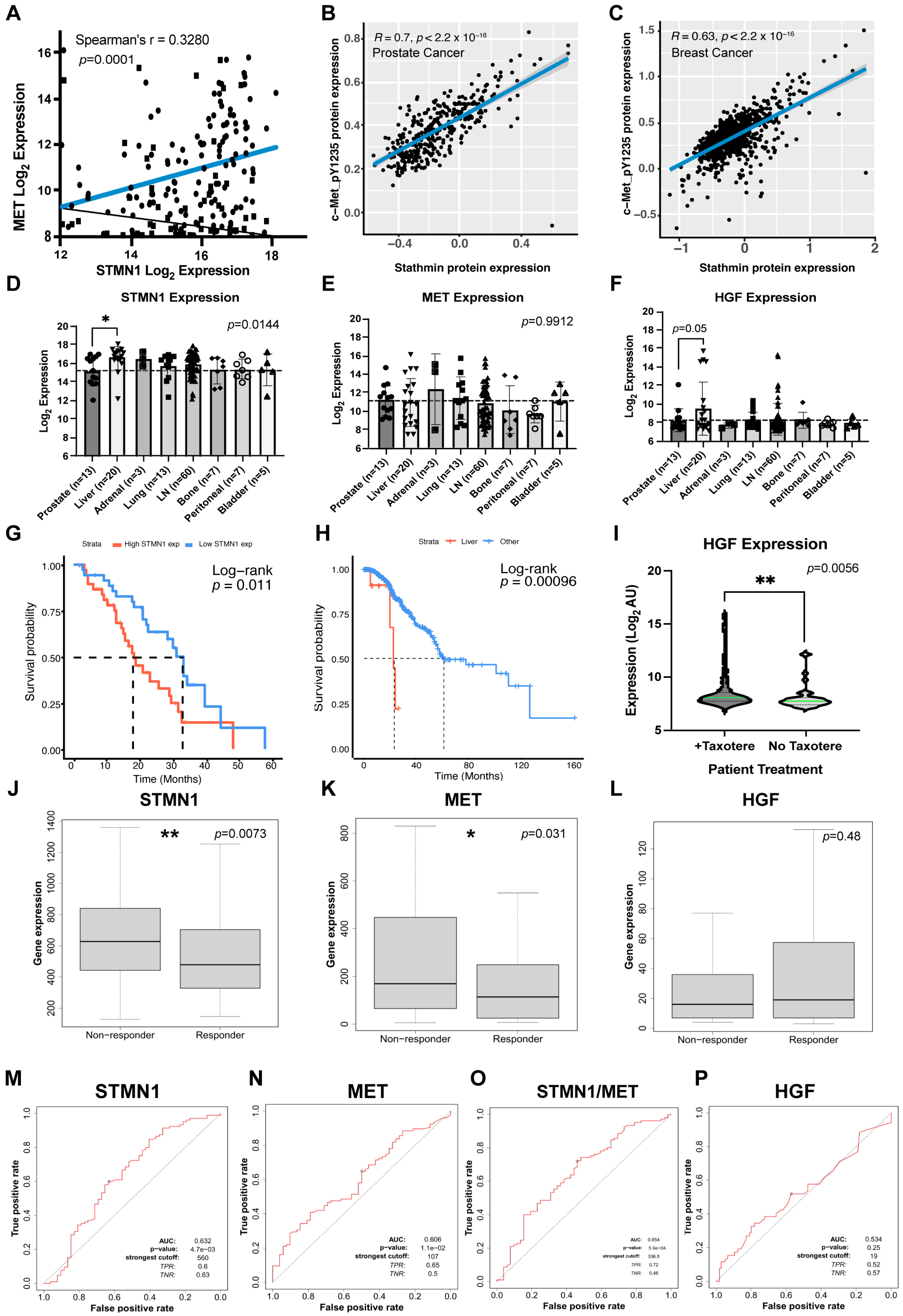 Cancers 17 02322 g001