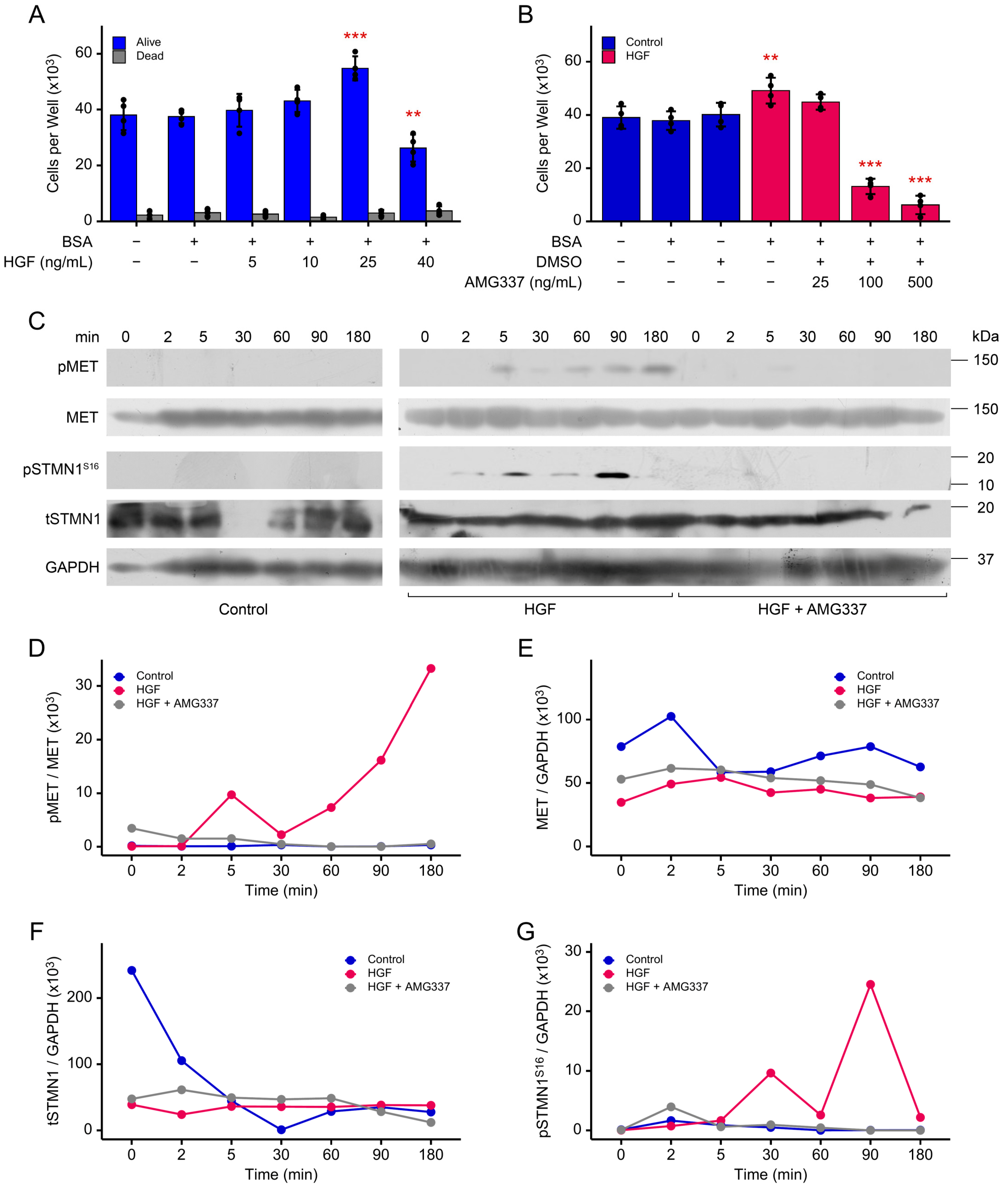 Cancers 17 02322 g002