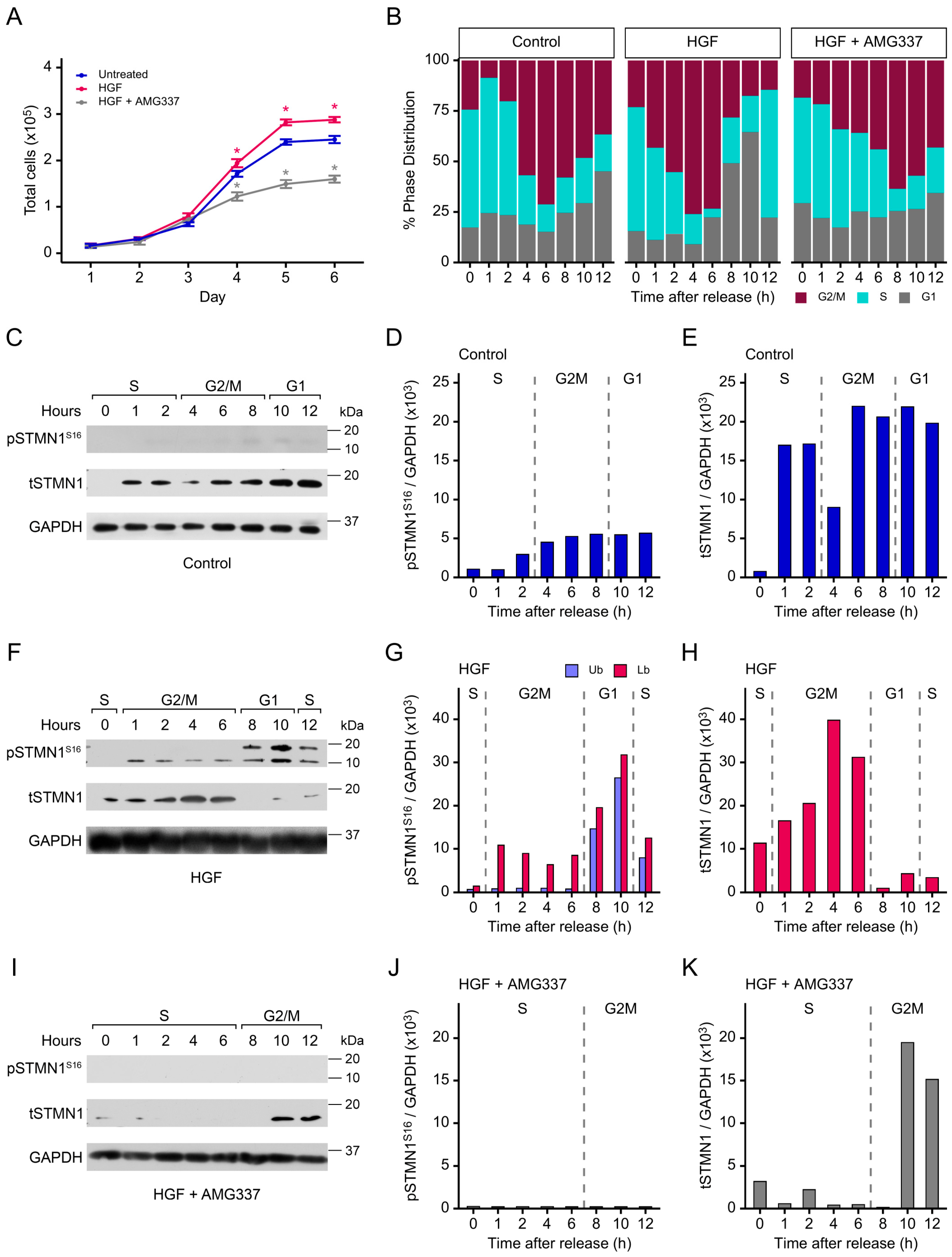 Cancers 17 02322 g003