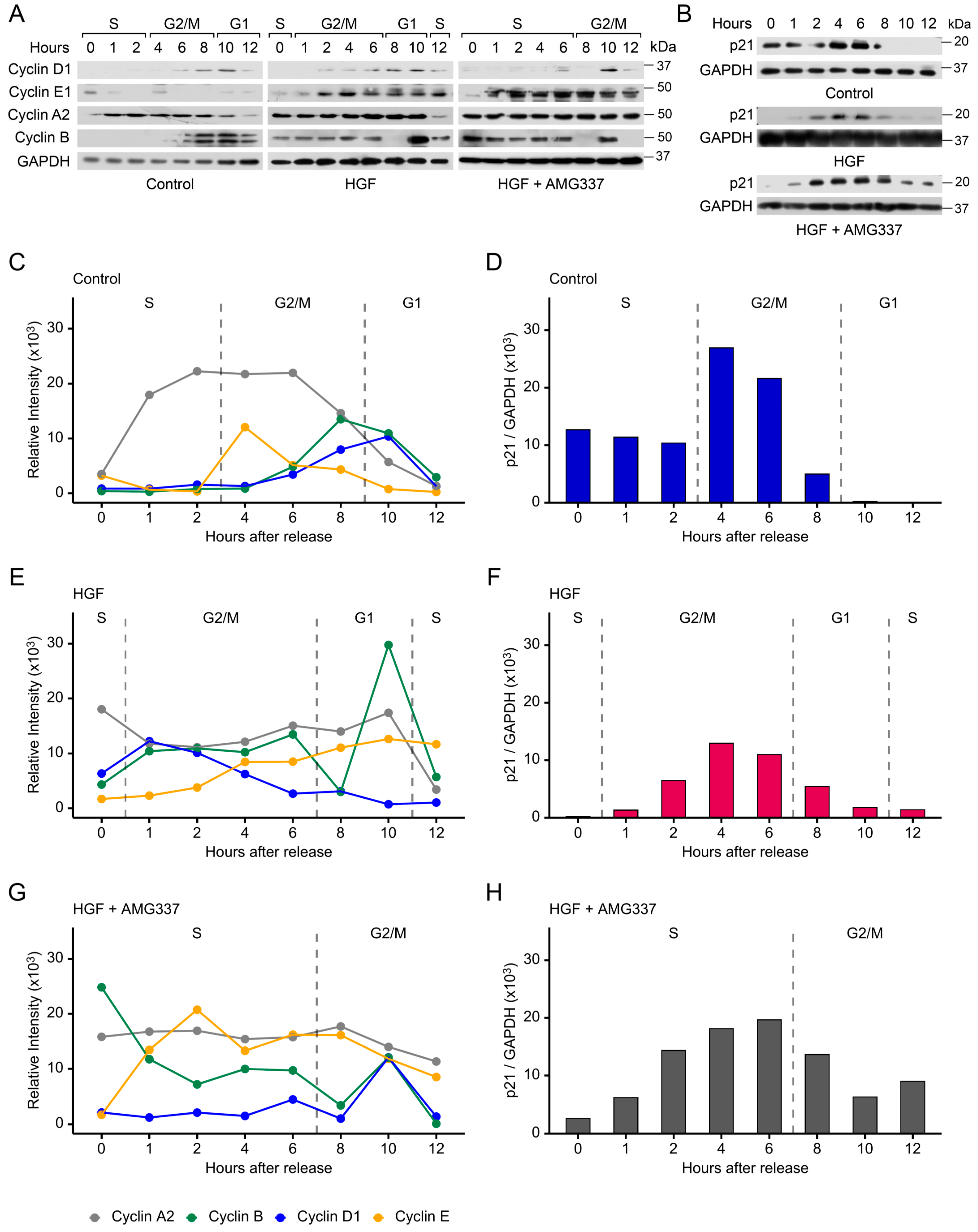 Cancers 17 02322 g004