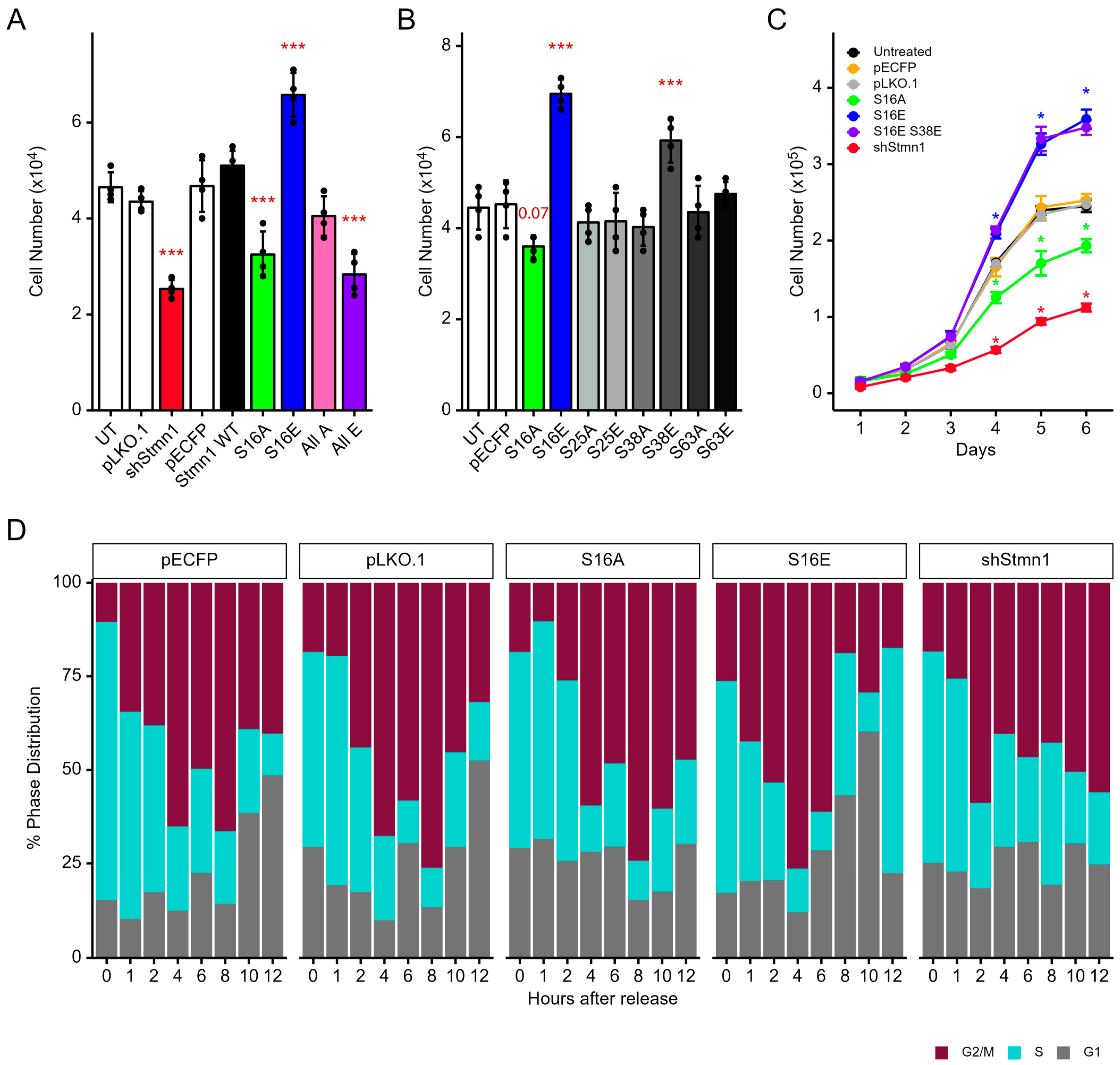 Cancers 17 02322 g005