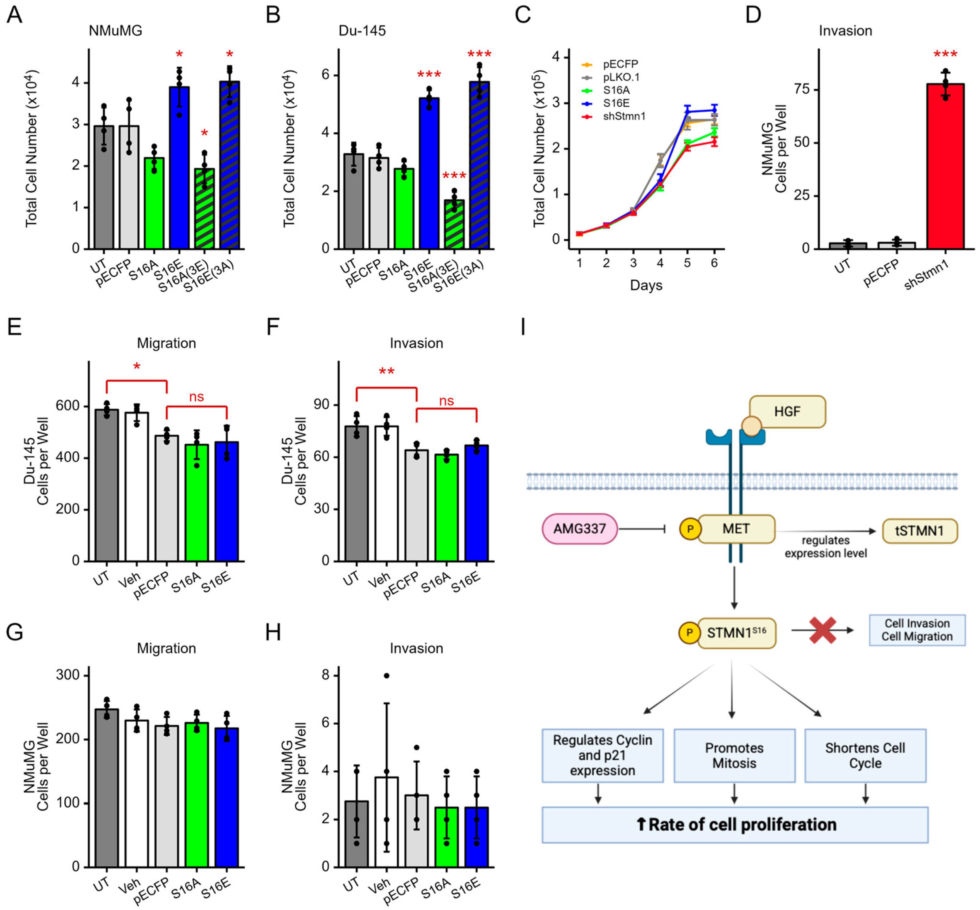 Cancers 17 02322 g007