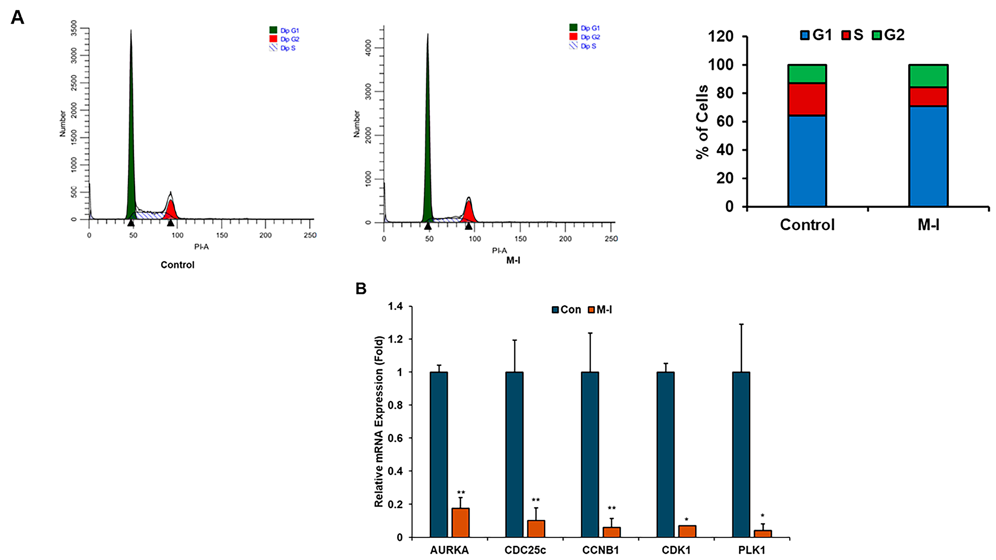 Cancers 17 02342 g002