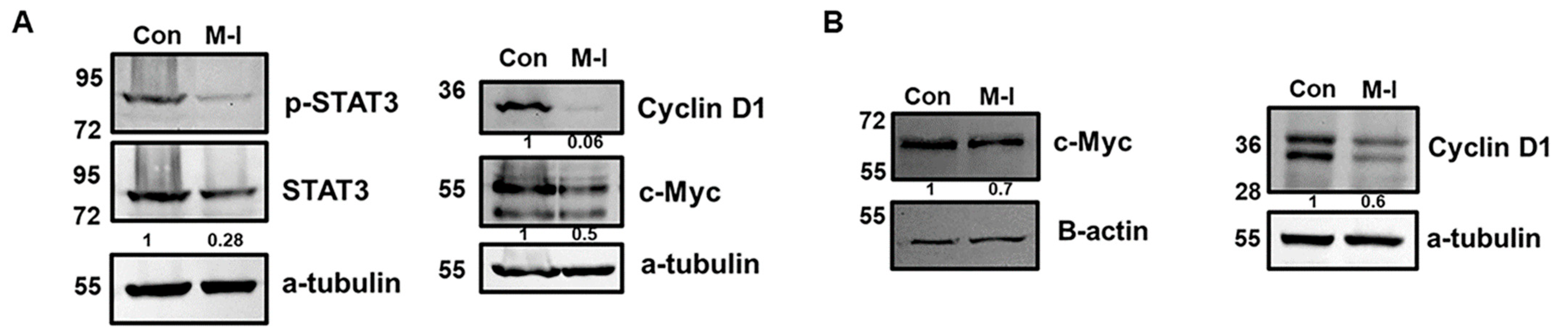 Cancers 17 02342 g003