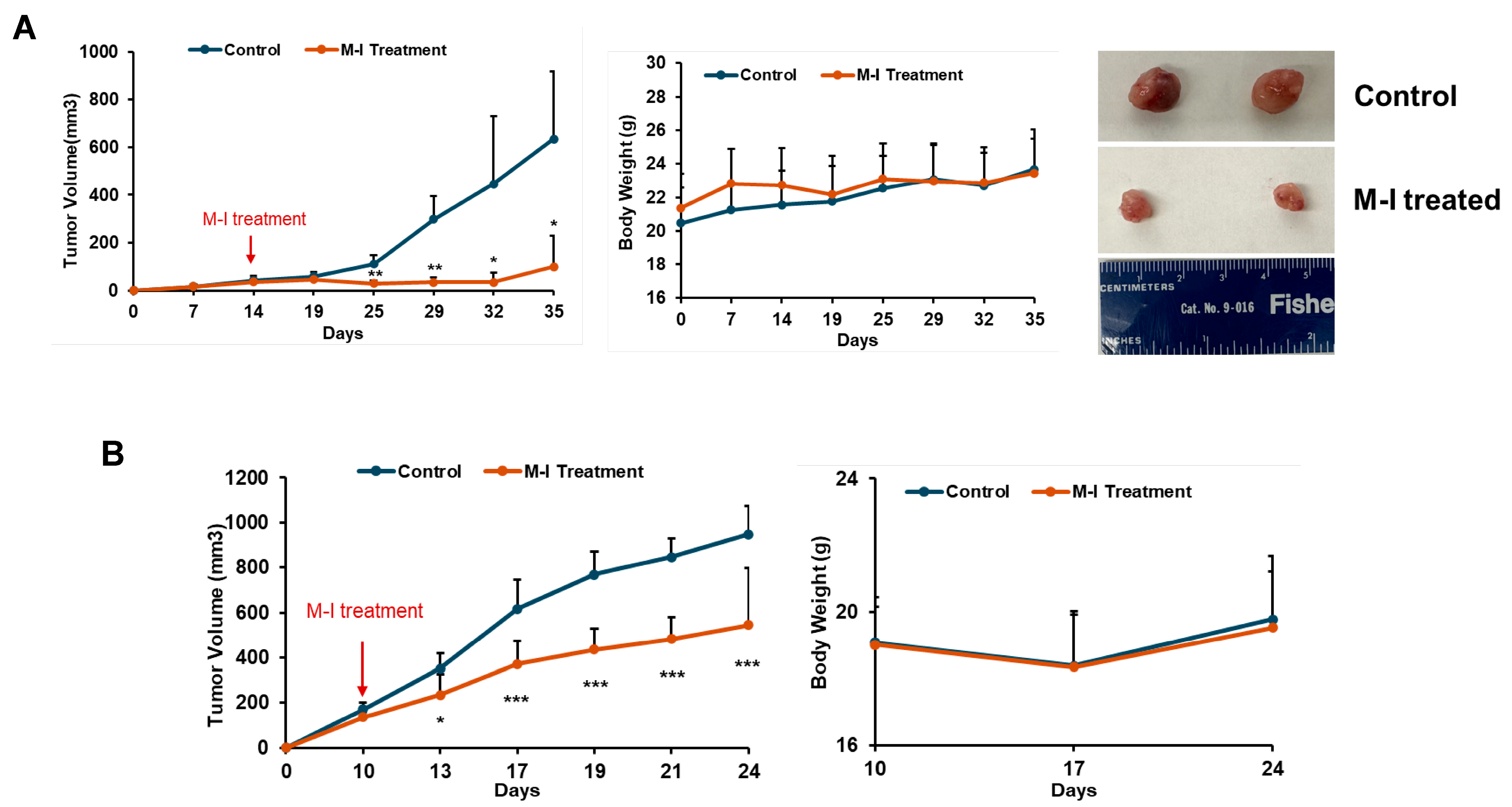 Cancers 17 02342 g004