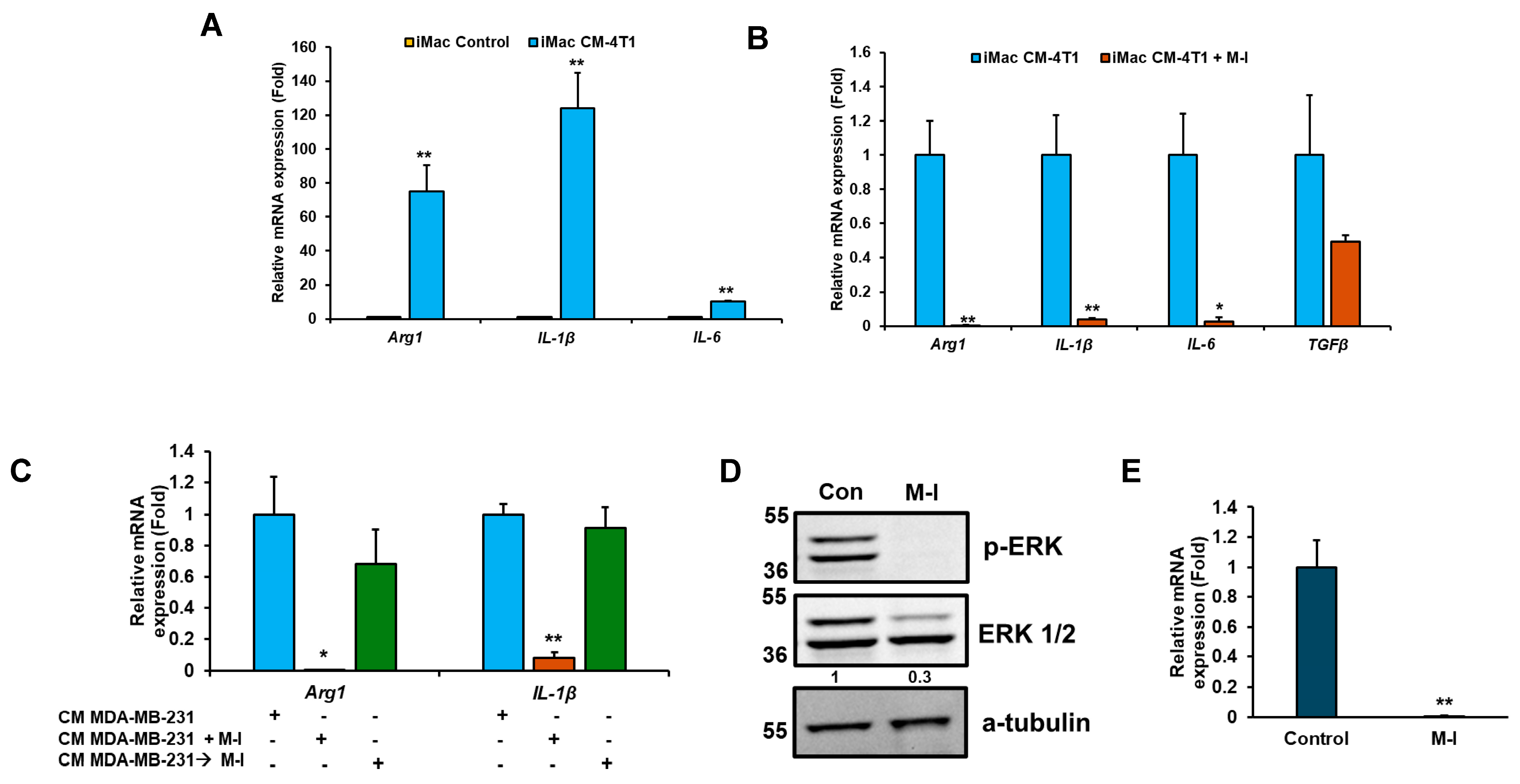 Cancers 17 02342 g006