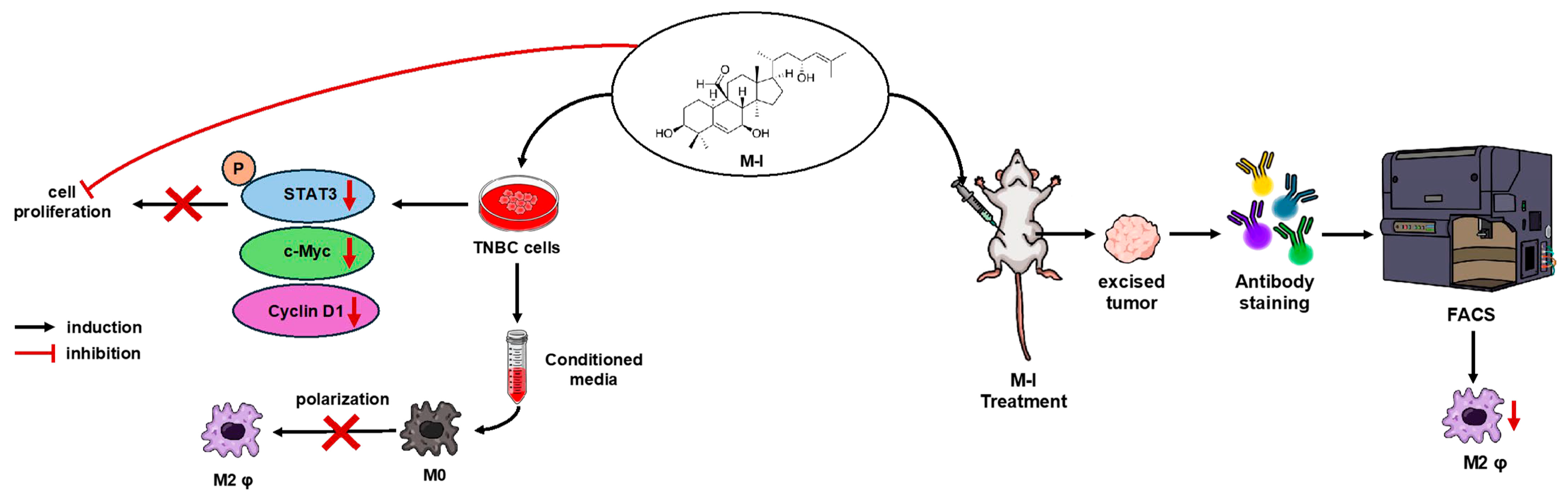Cancers 17 02342 g007