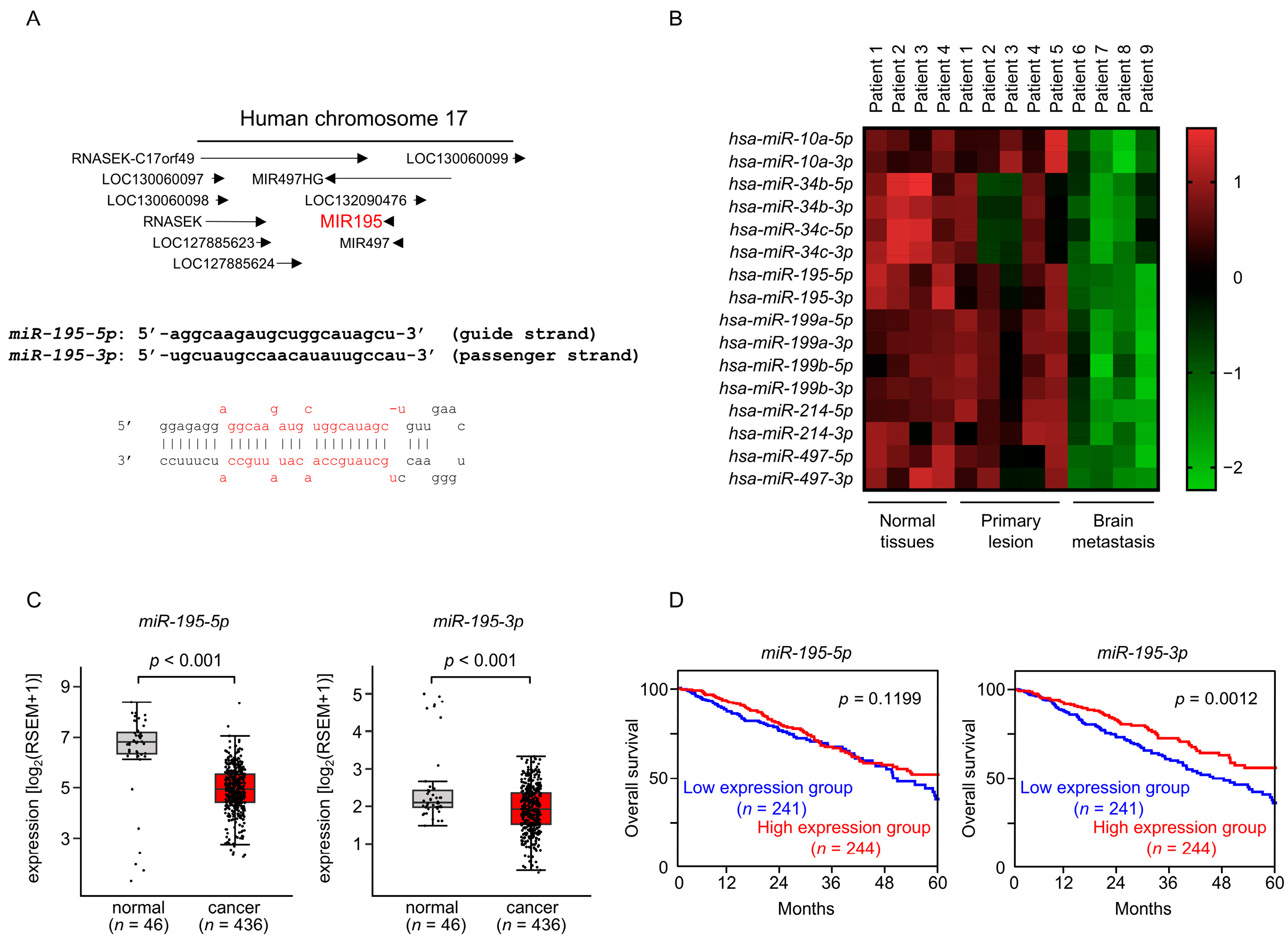 Cancers 17 02348 g001