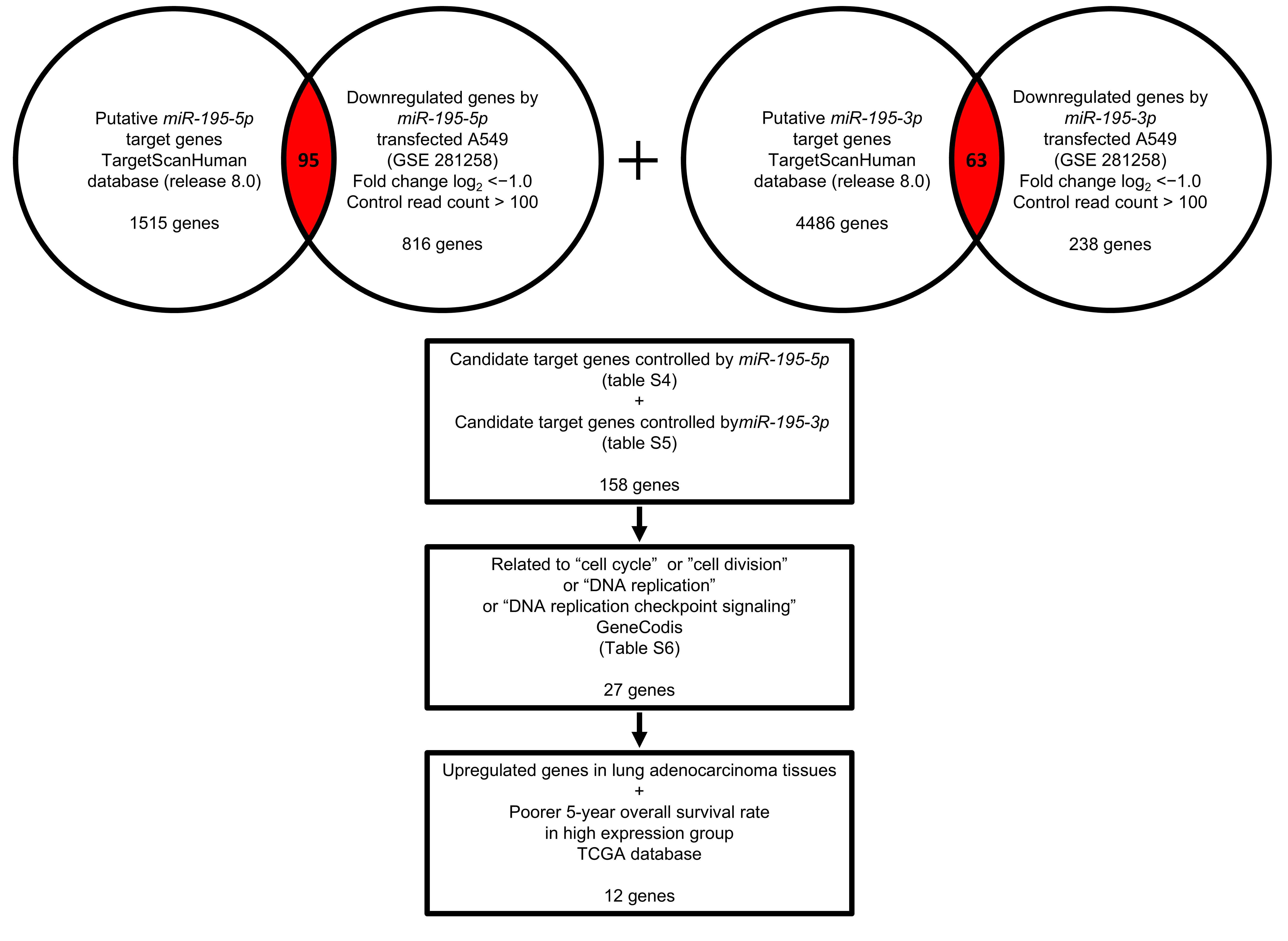 Cancers 17 02348 g003