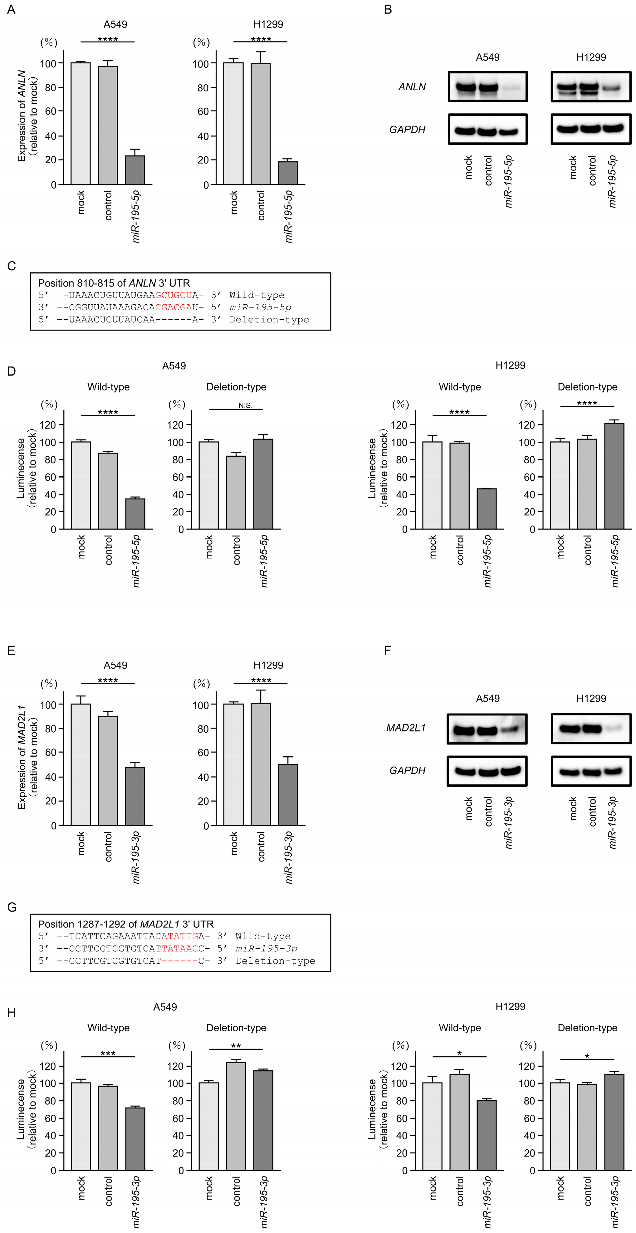 Cancers 17 02348 g006