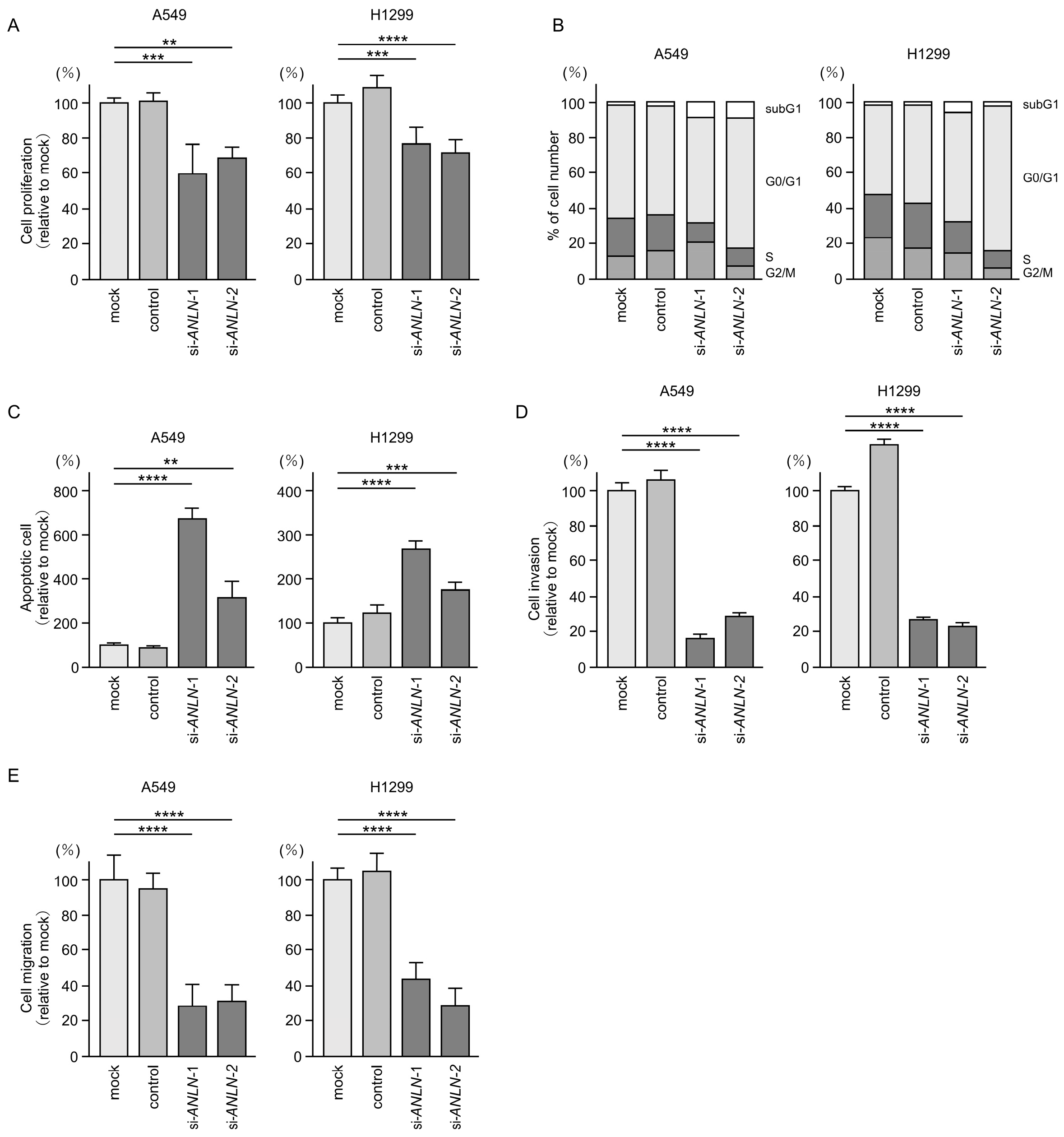 Cancers 17 02348 g007
