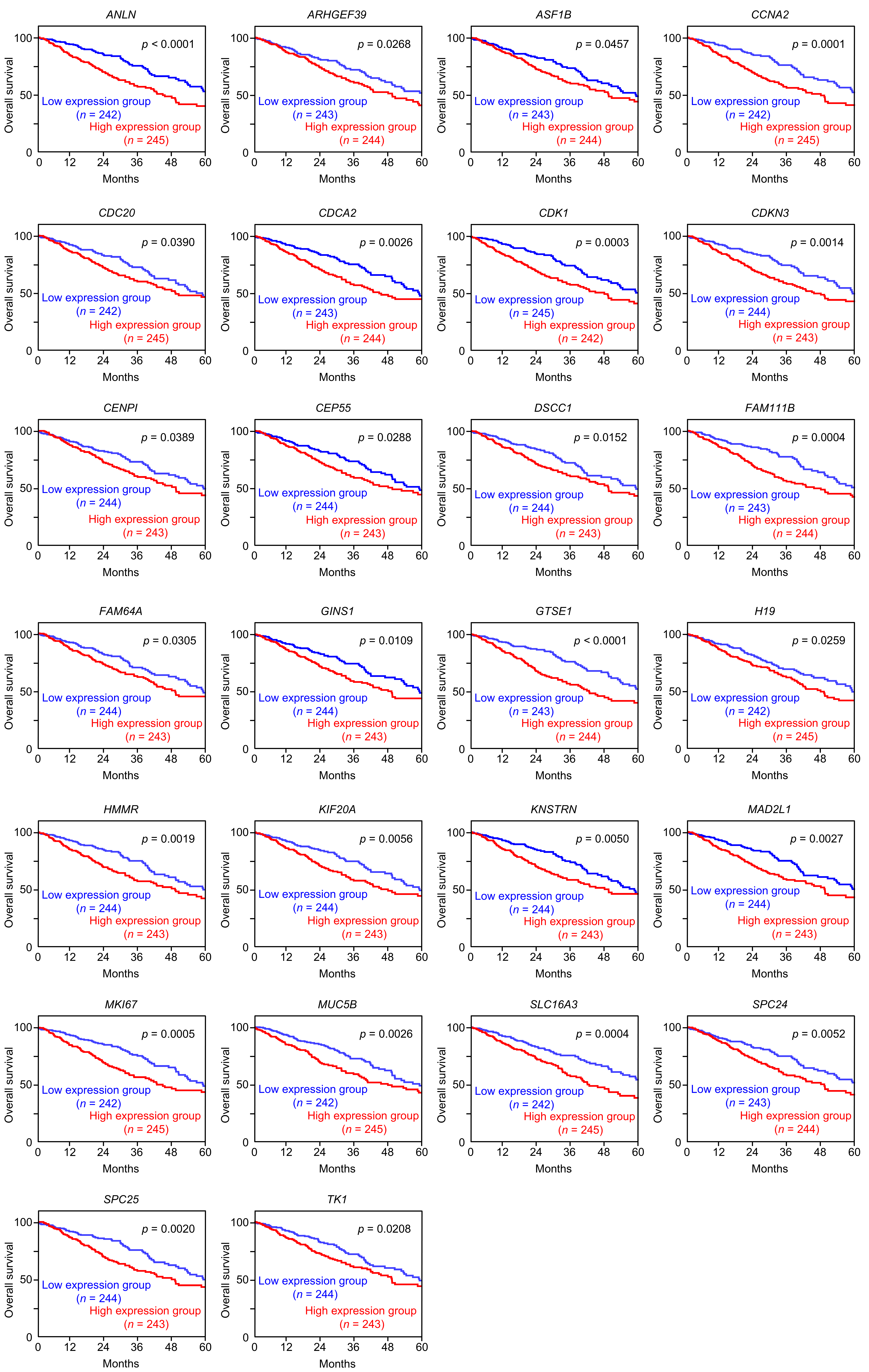Cancers 17 02348 g010