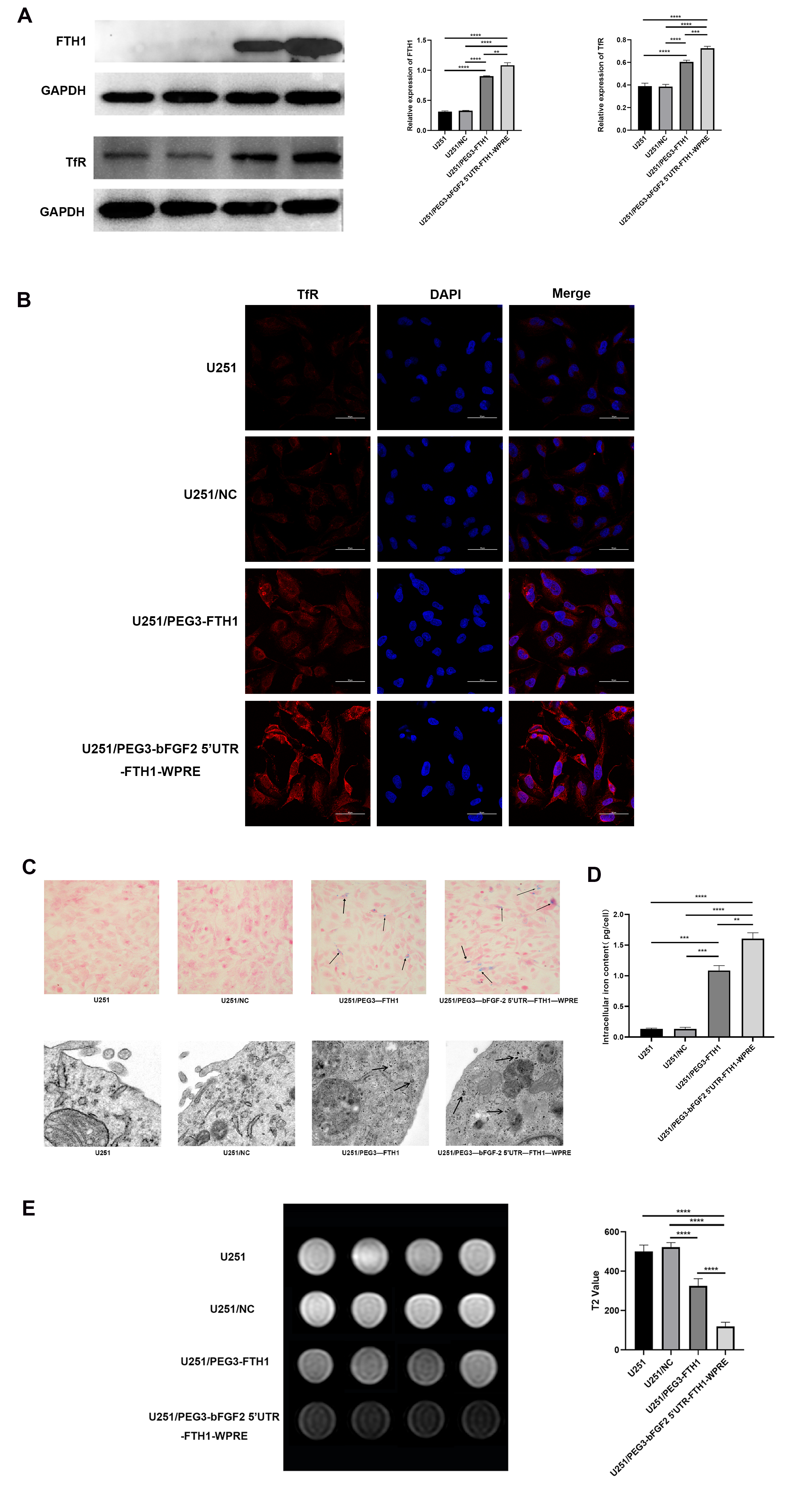 Cancers 17 02349 g001