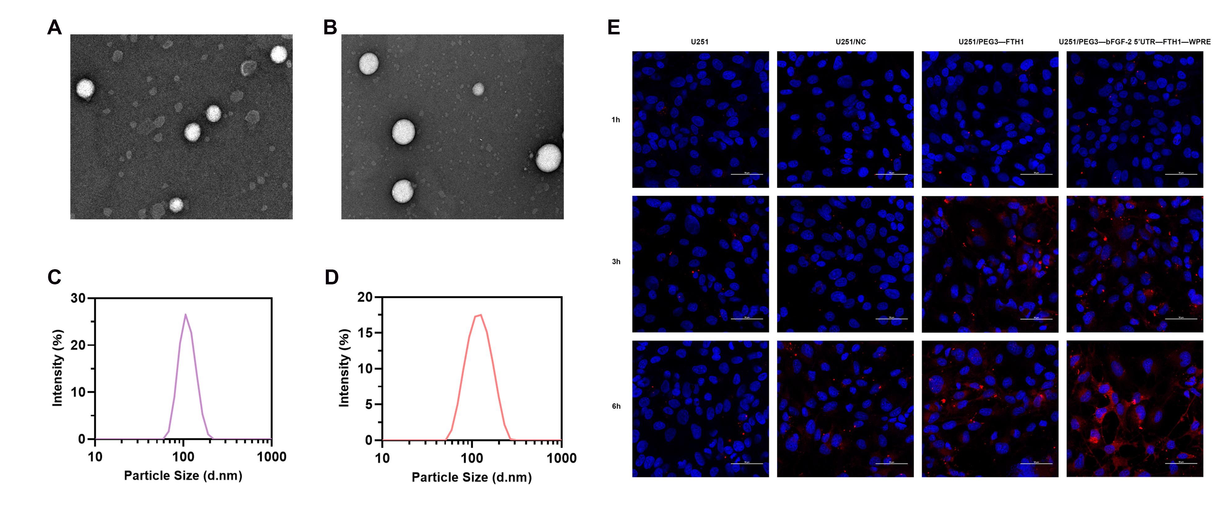 Cancers 17 02349 g002