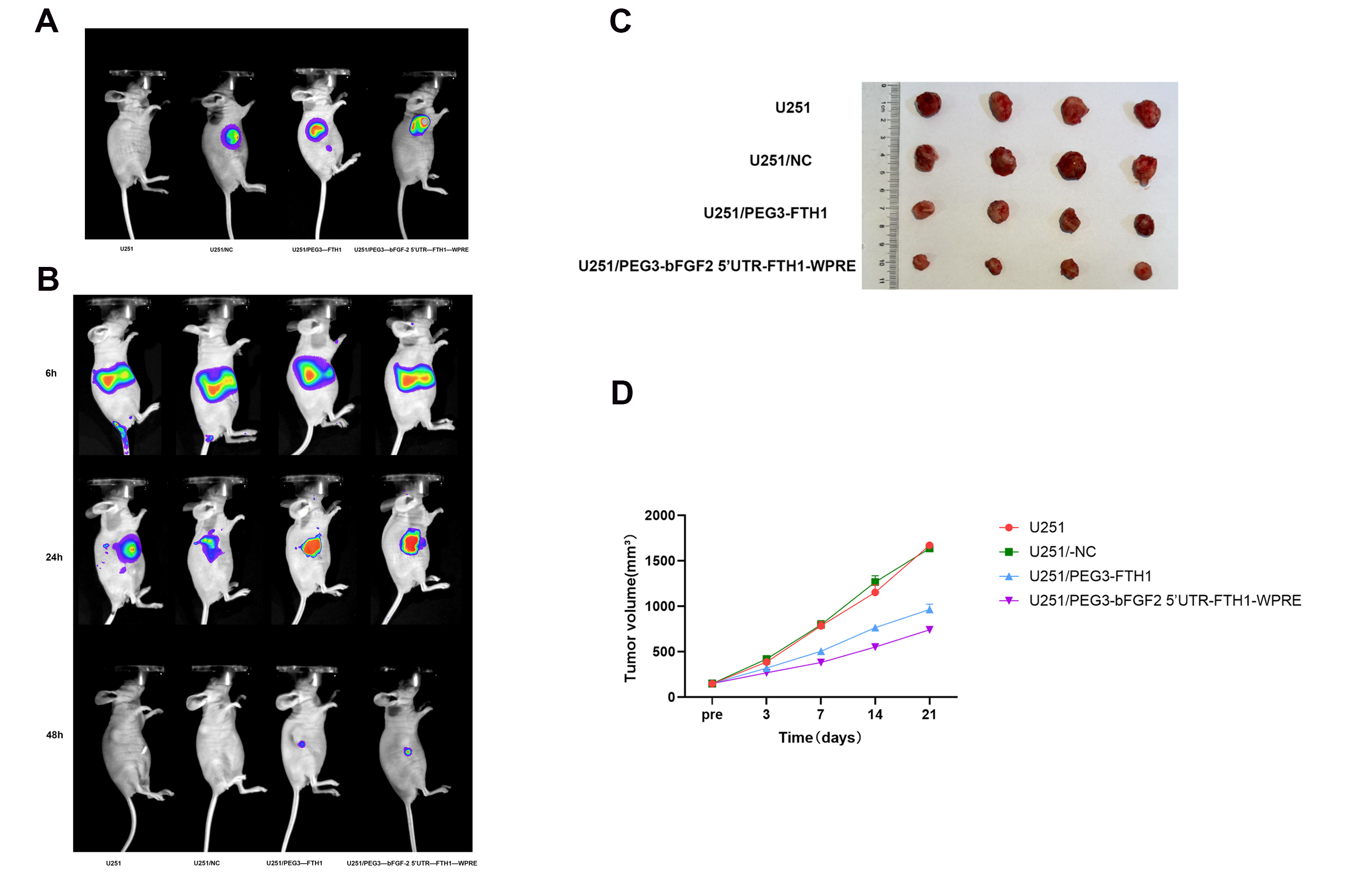 Cancers 17 02349 g004
