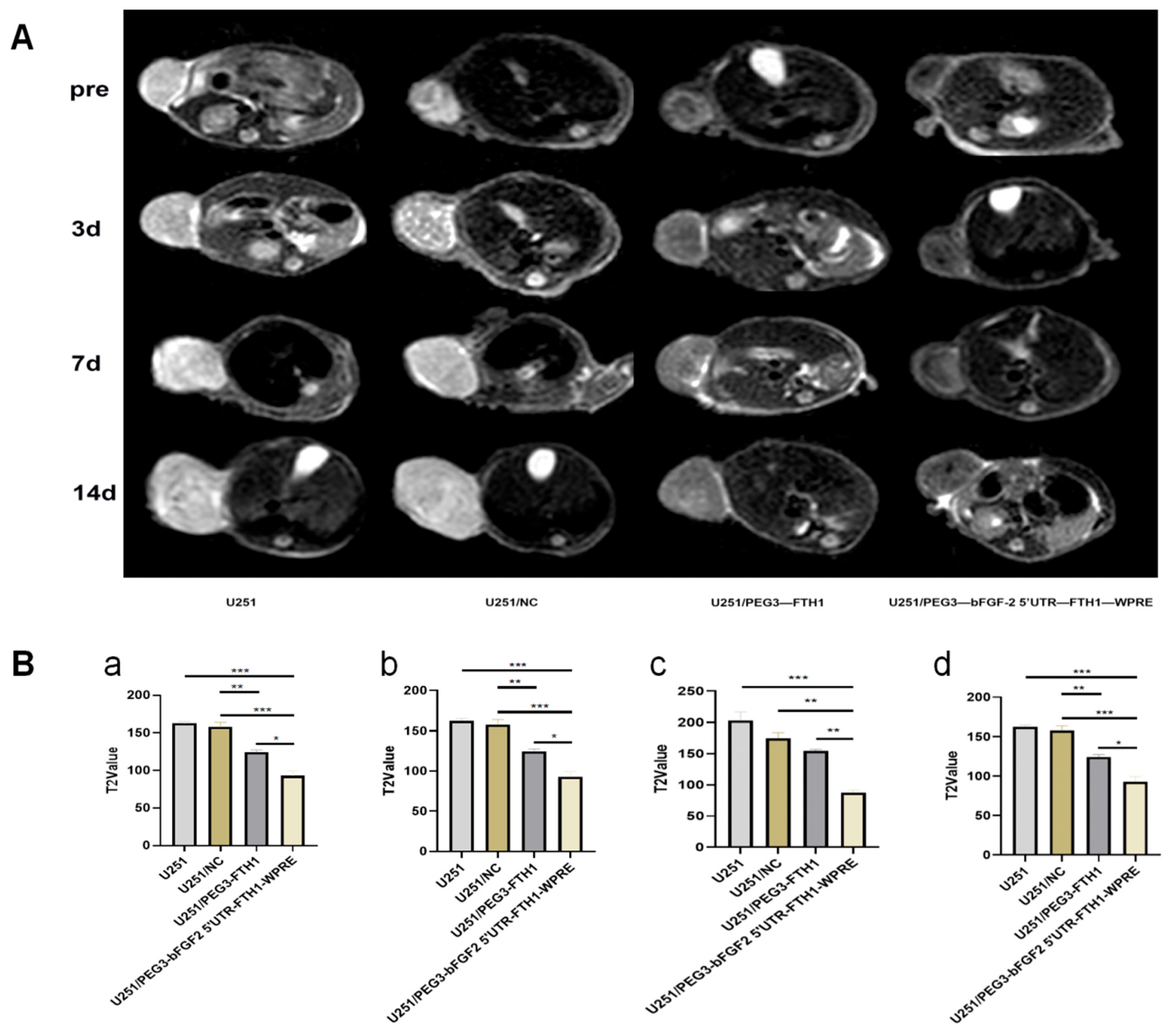 Cancers 17 02349 g005