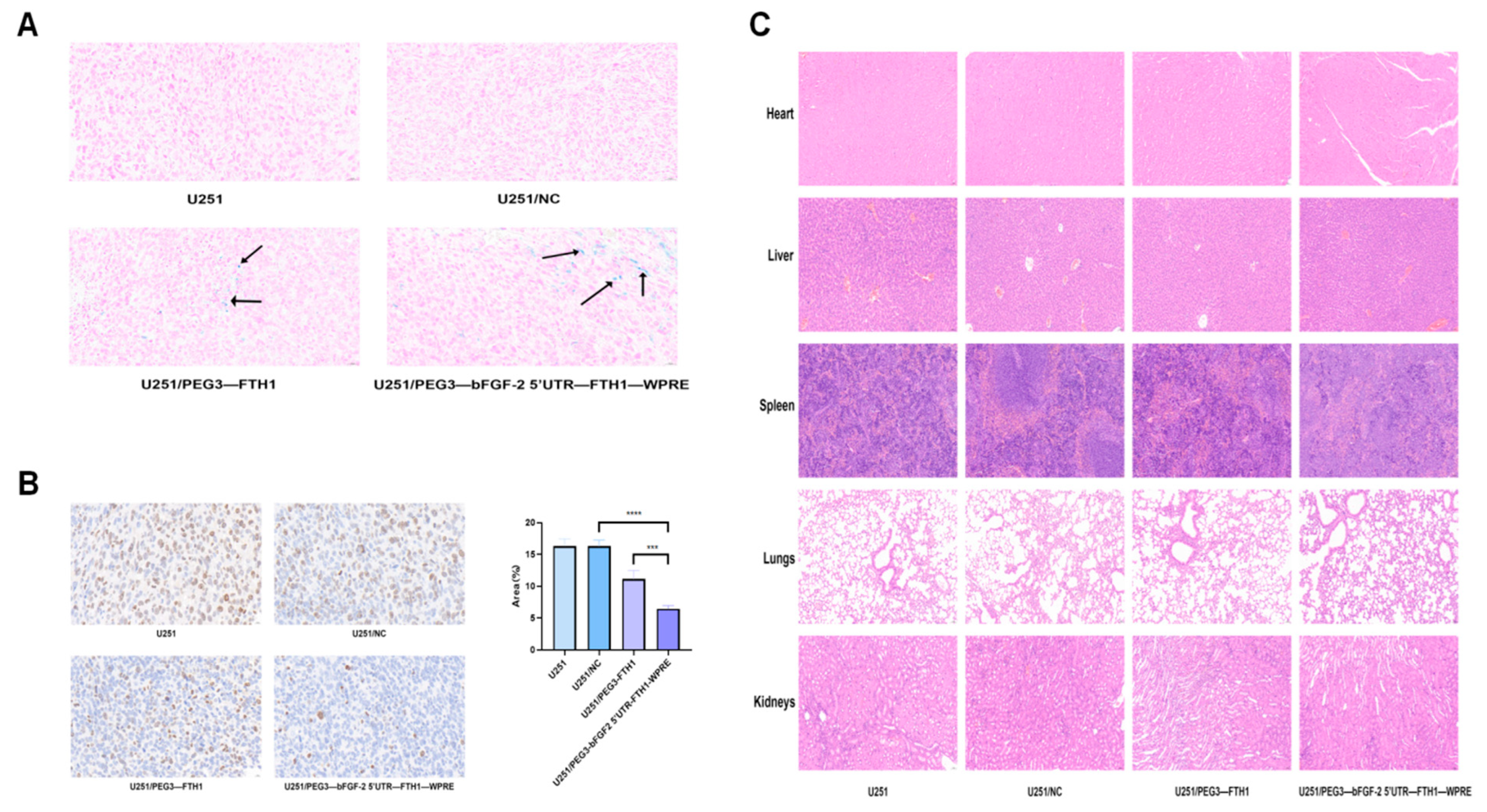 Cancers 17 02349 g006