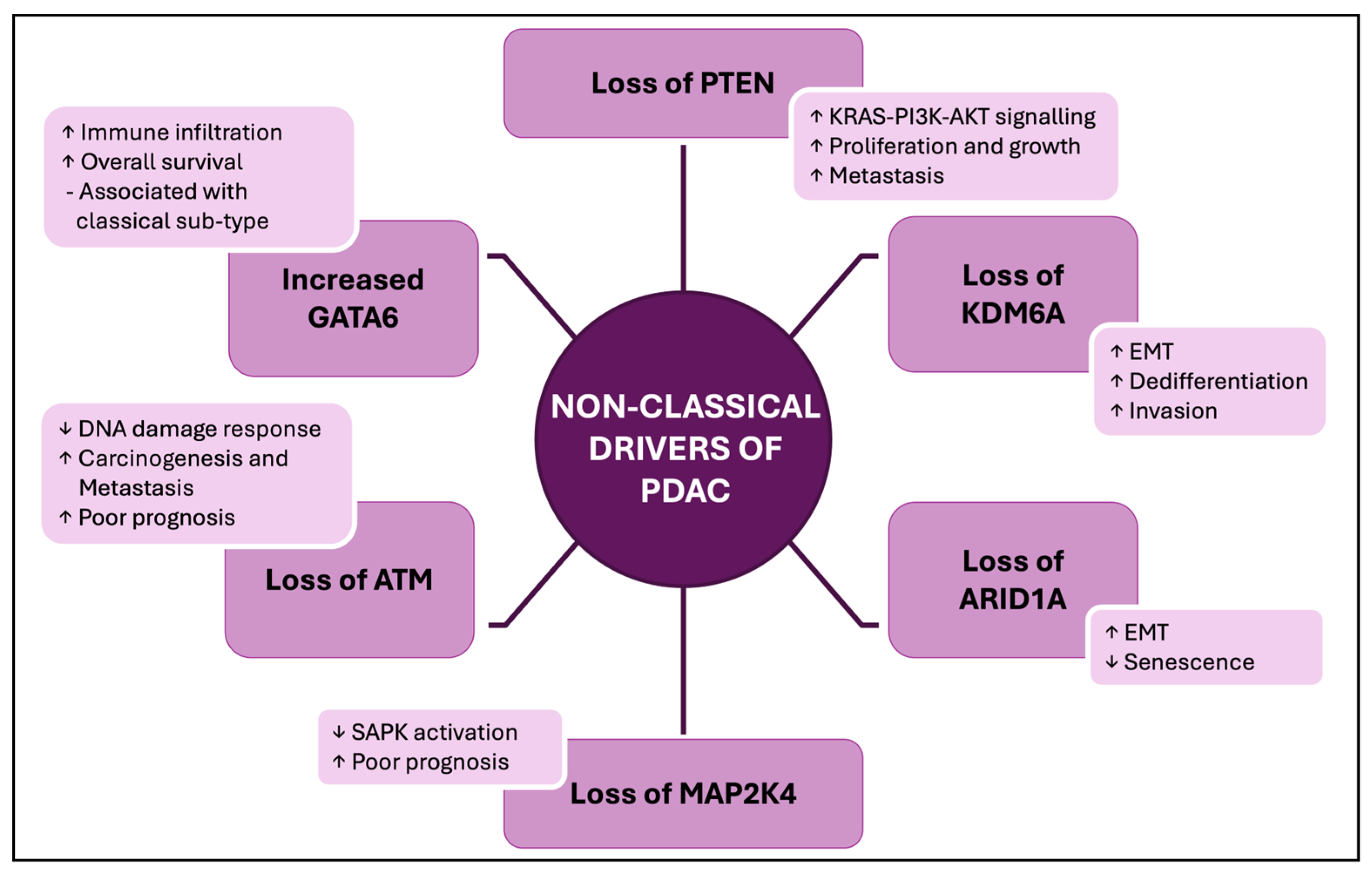Cancers 17 02354 g002 Cancers 17 02354 g002