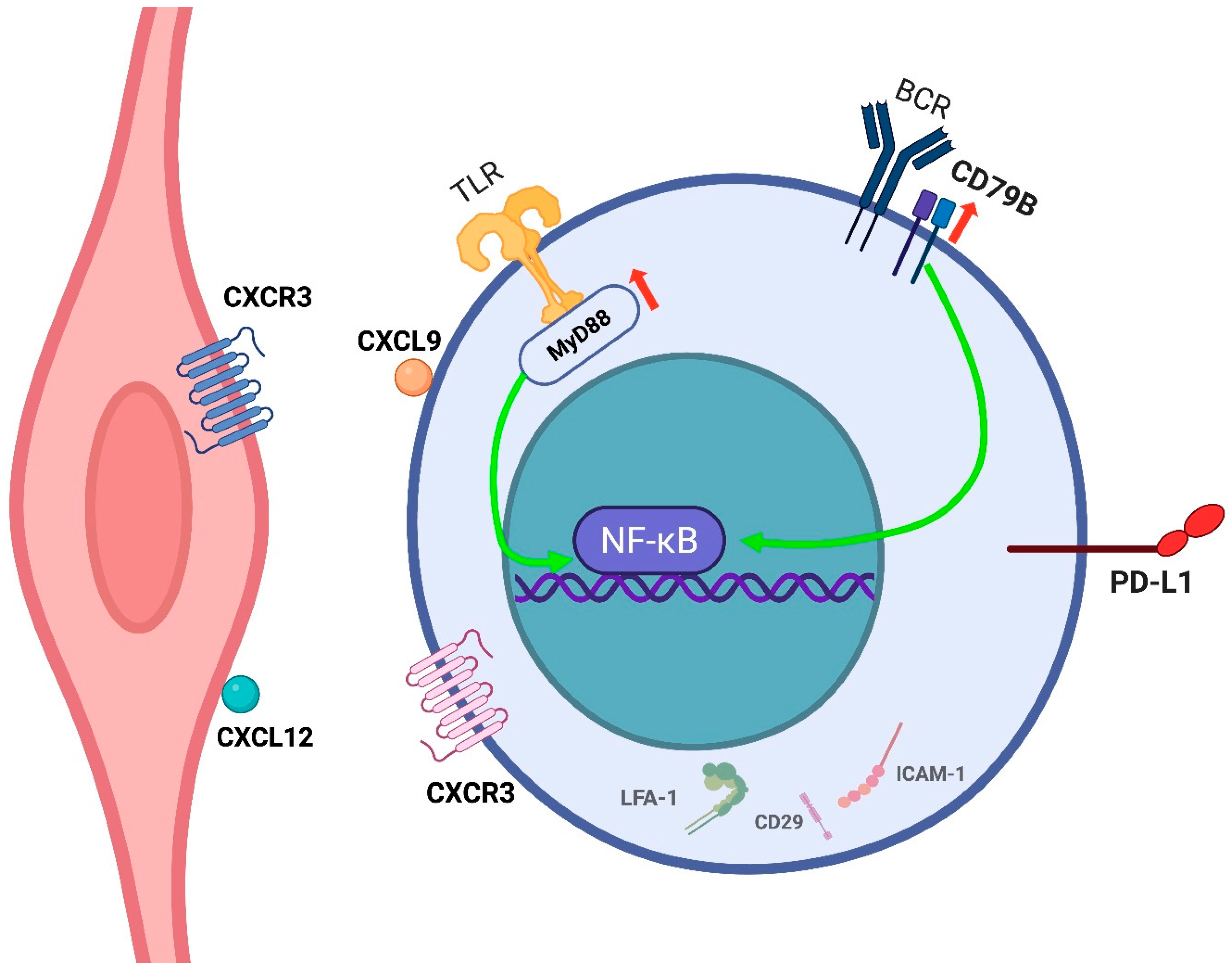 Cancers 17 02355 g004