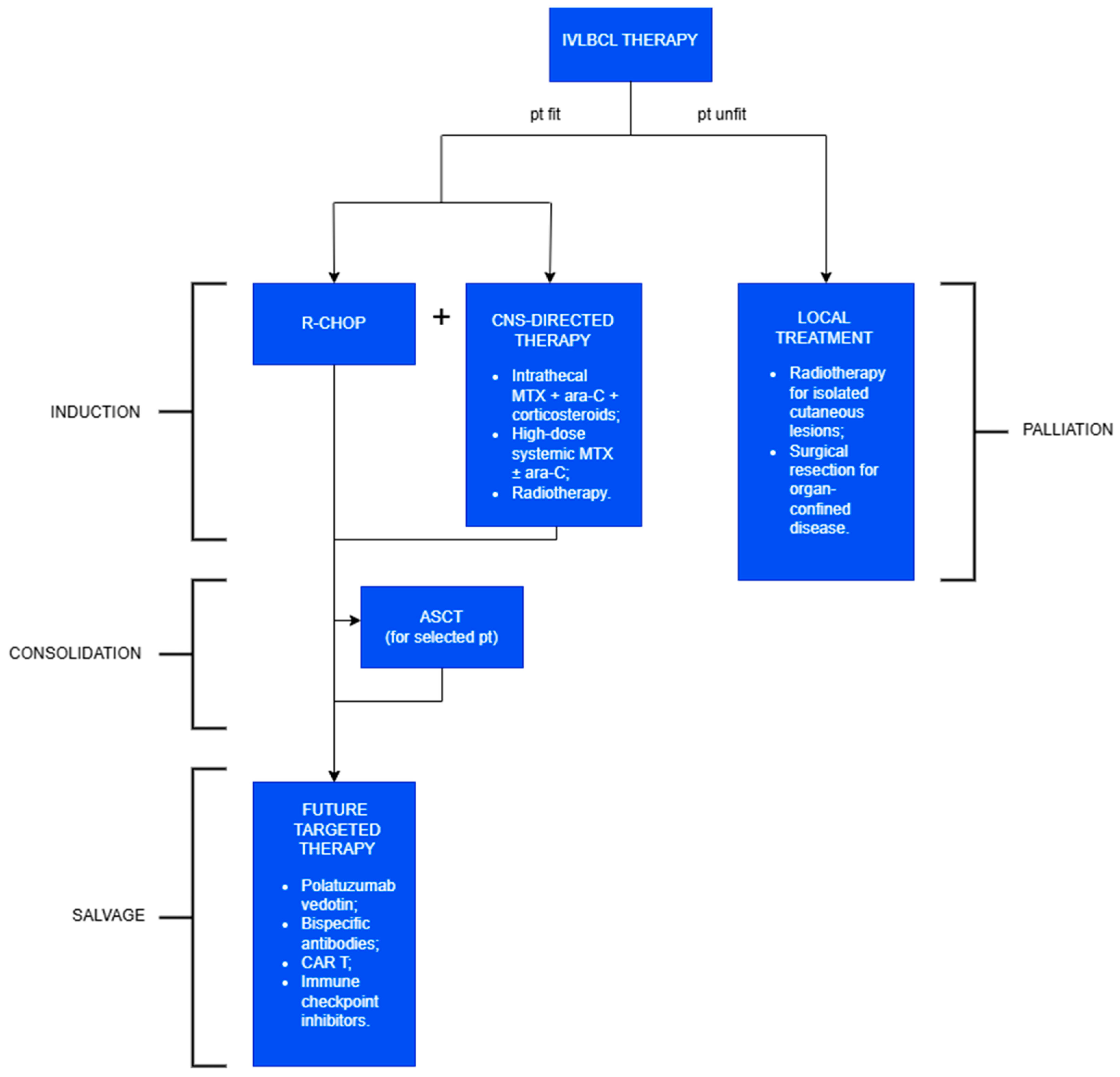 Cancers 17 02355 g005