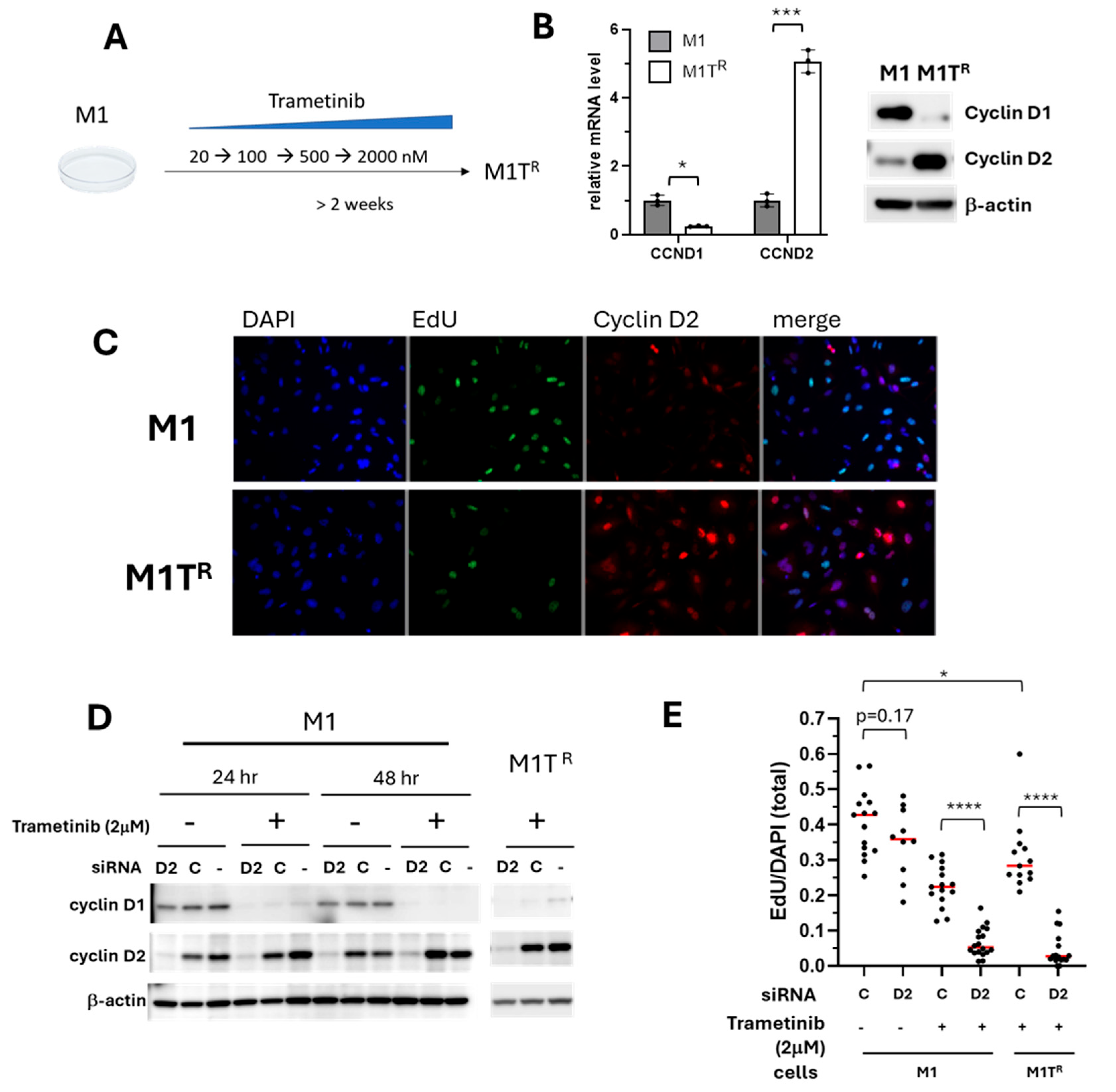 Cancers 17 02357 g004
