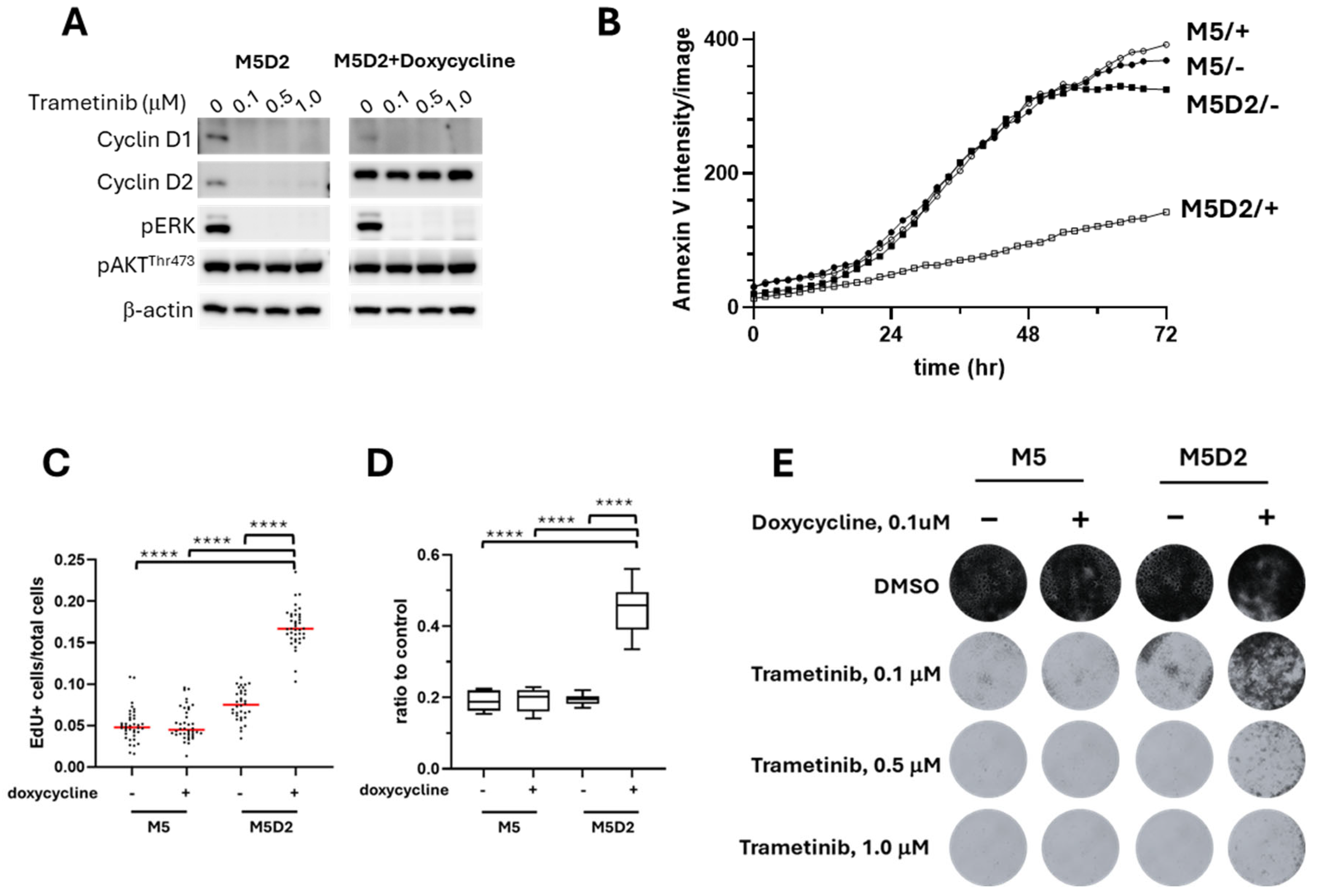 Cancers 17 02357 g005