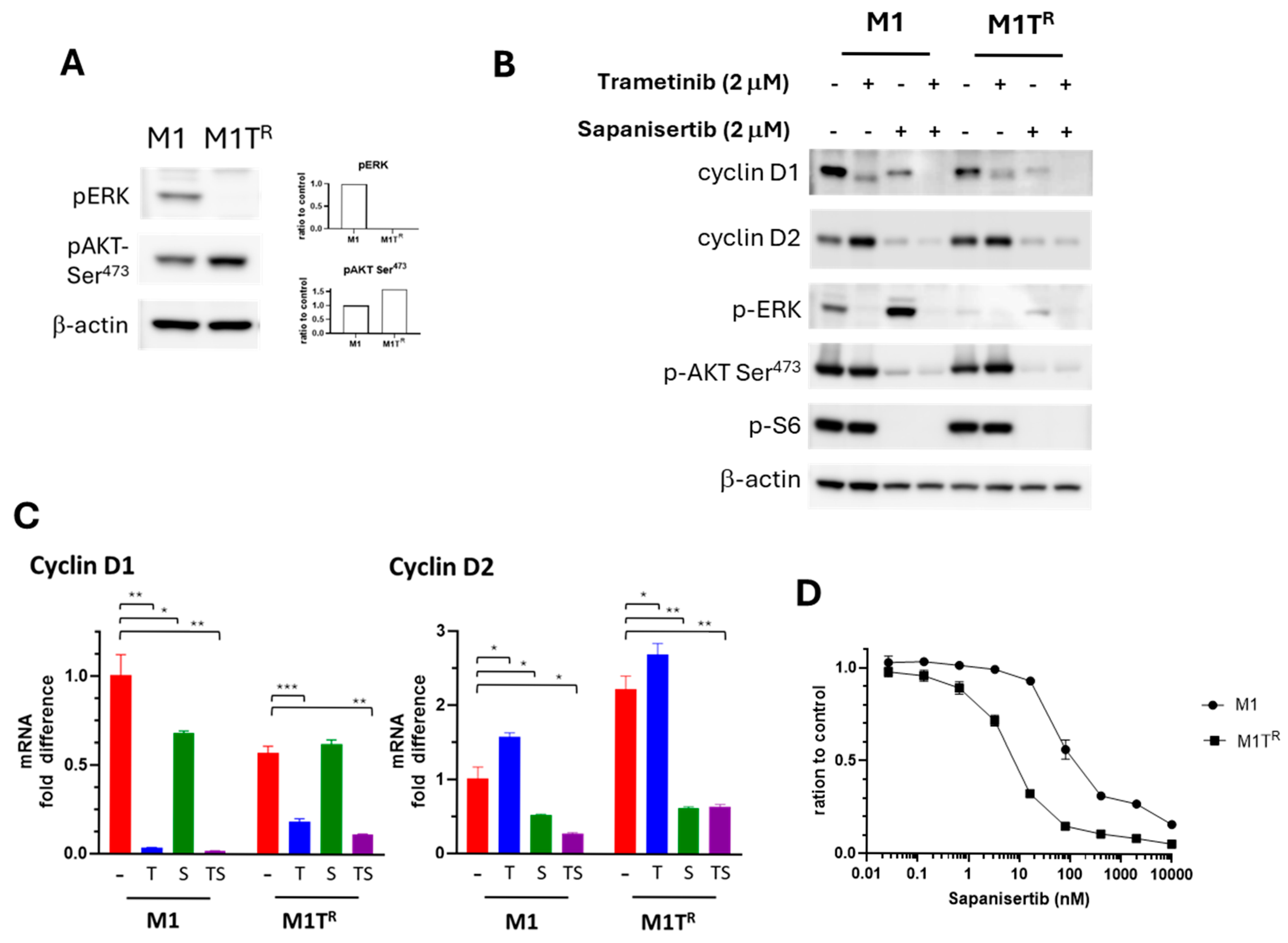 Cancers 17 02357 g006