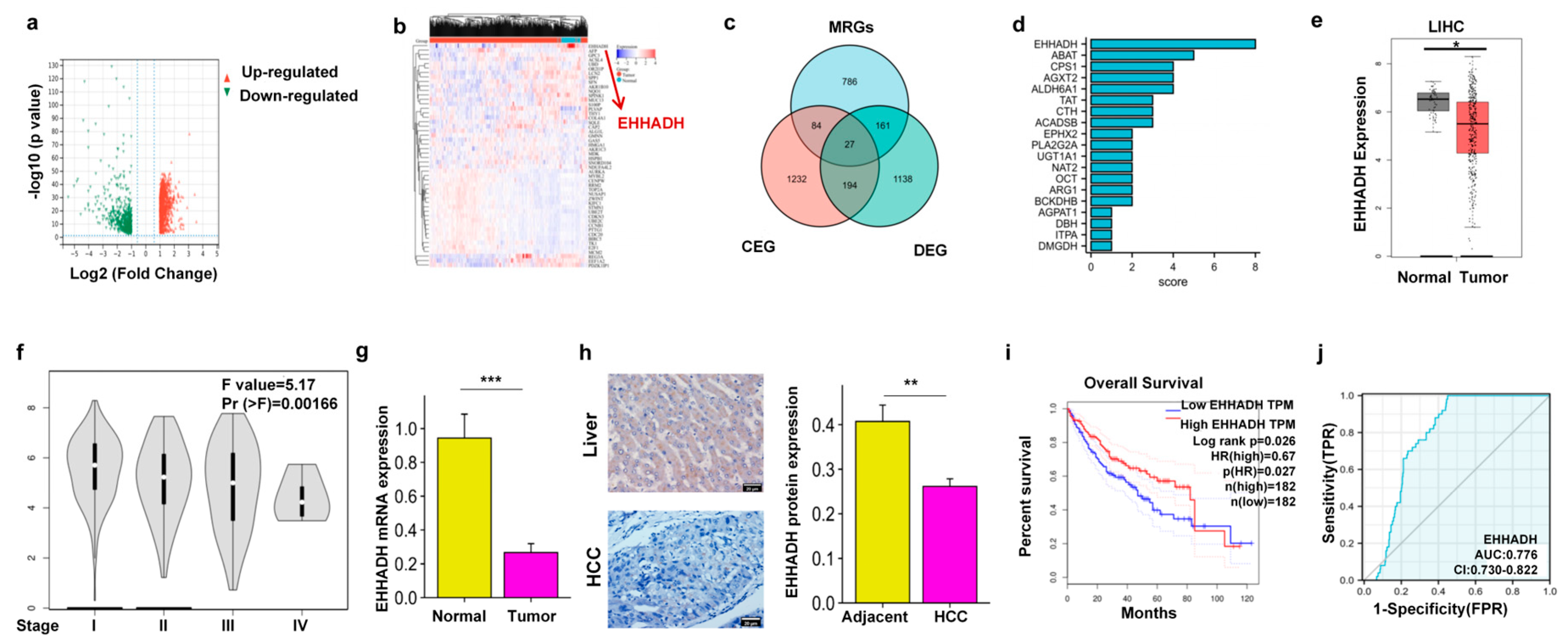 Cancers 17 02365 g001