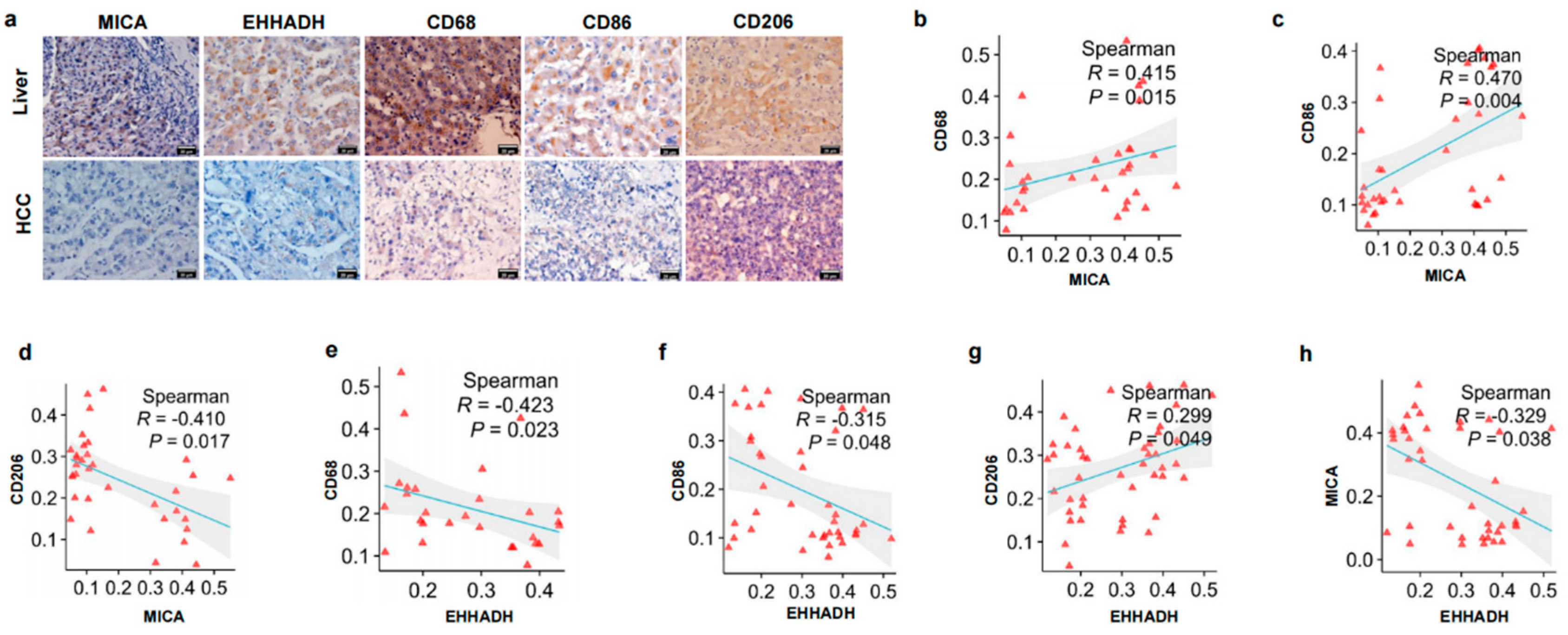 Cancers 17 02365 g002