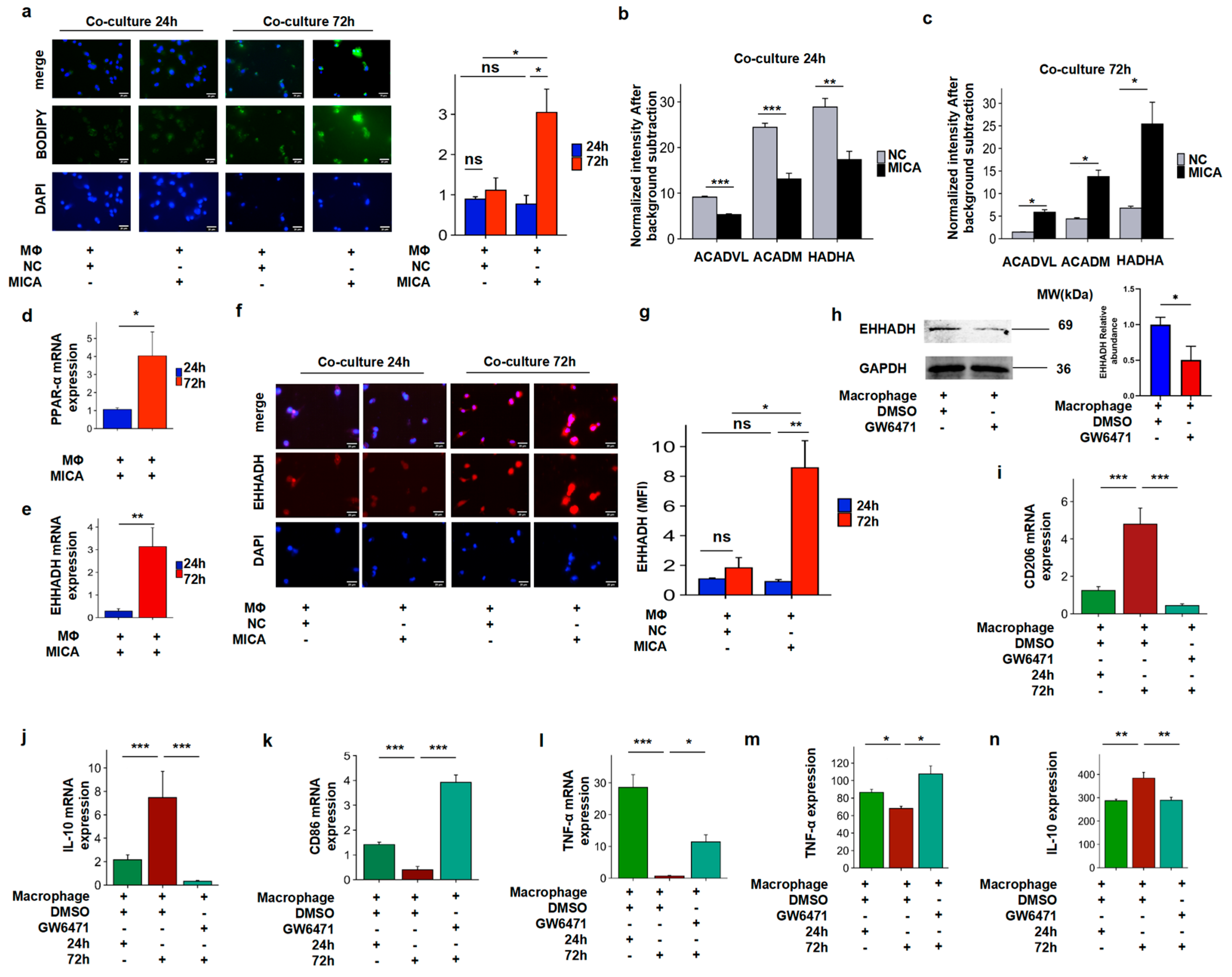 Cancers 17 02365 g005