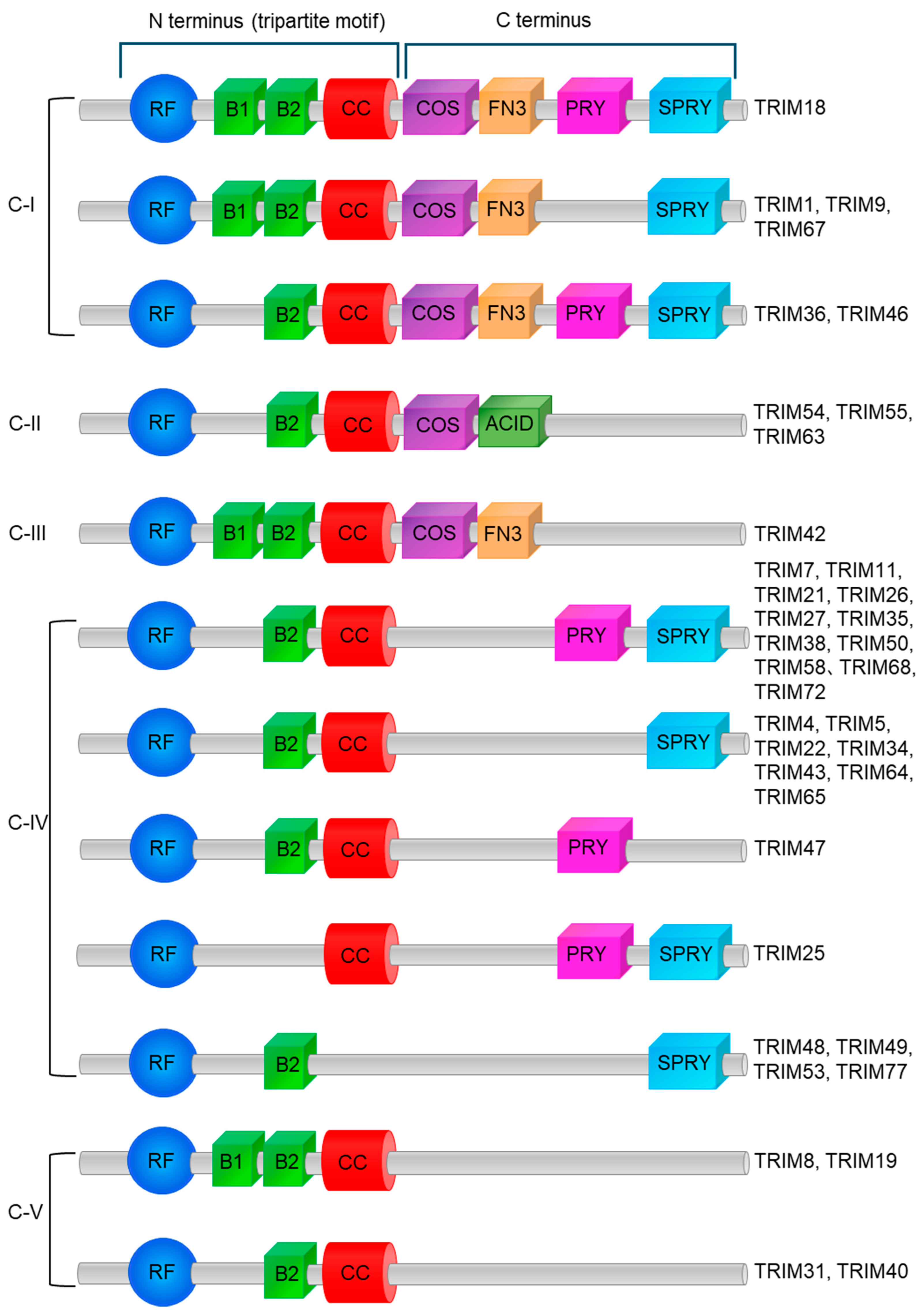 Cancers 17 02367 g002a