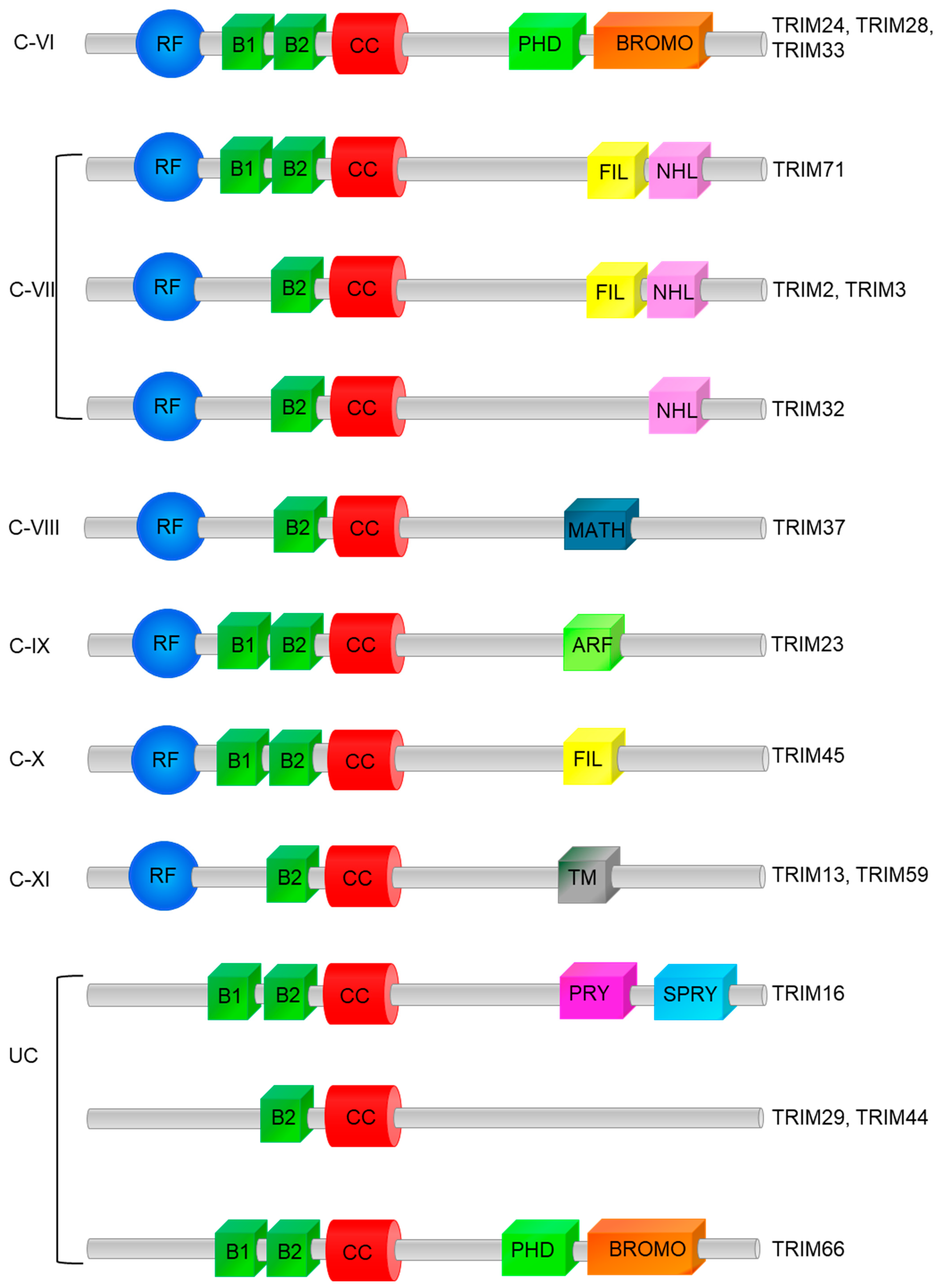 Cancers 17 02367 g002b
