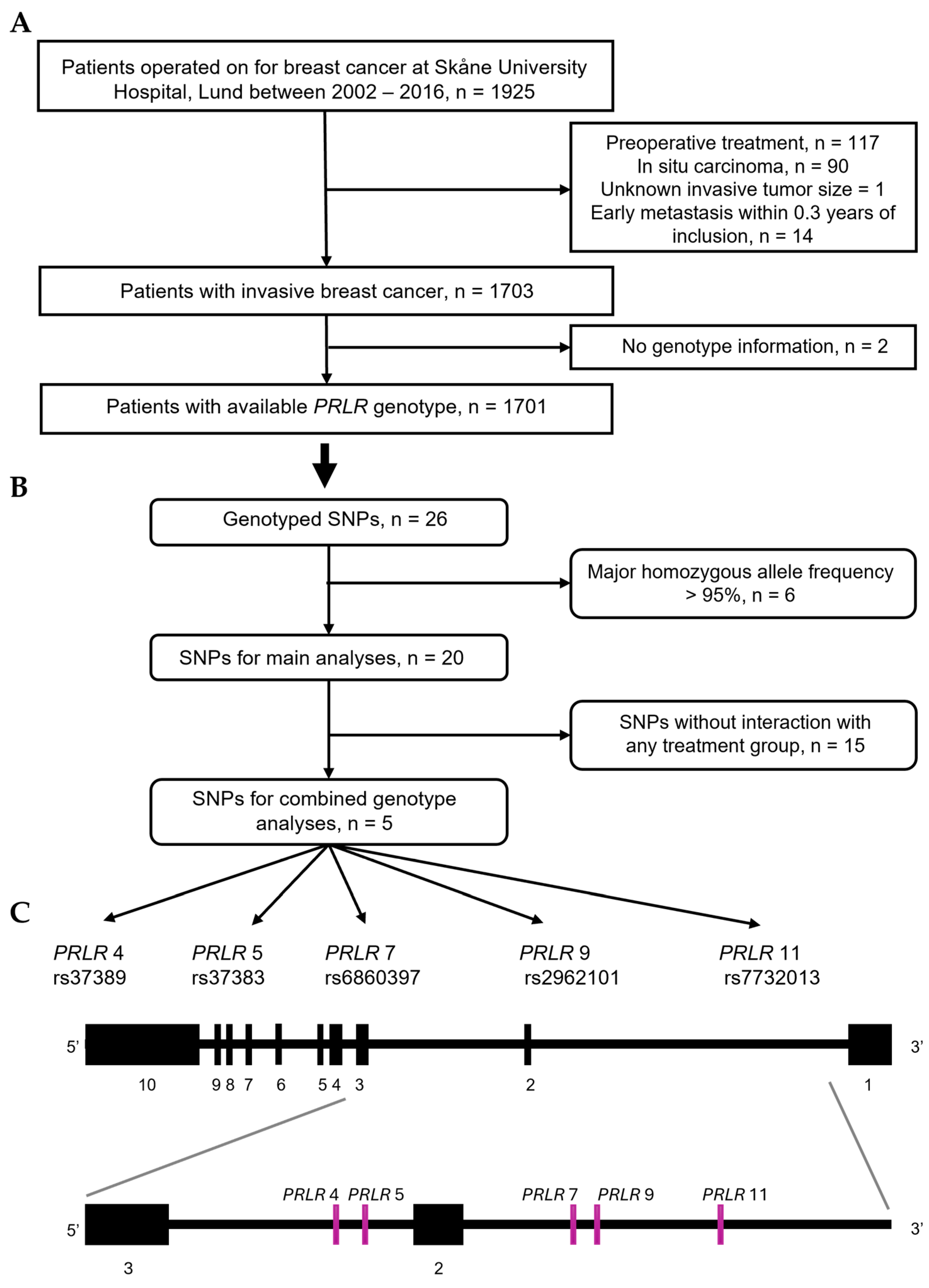 Cancers 17 02378 g001