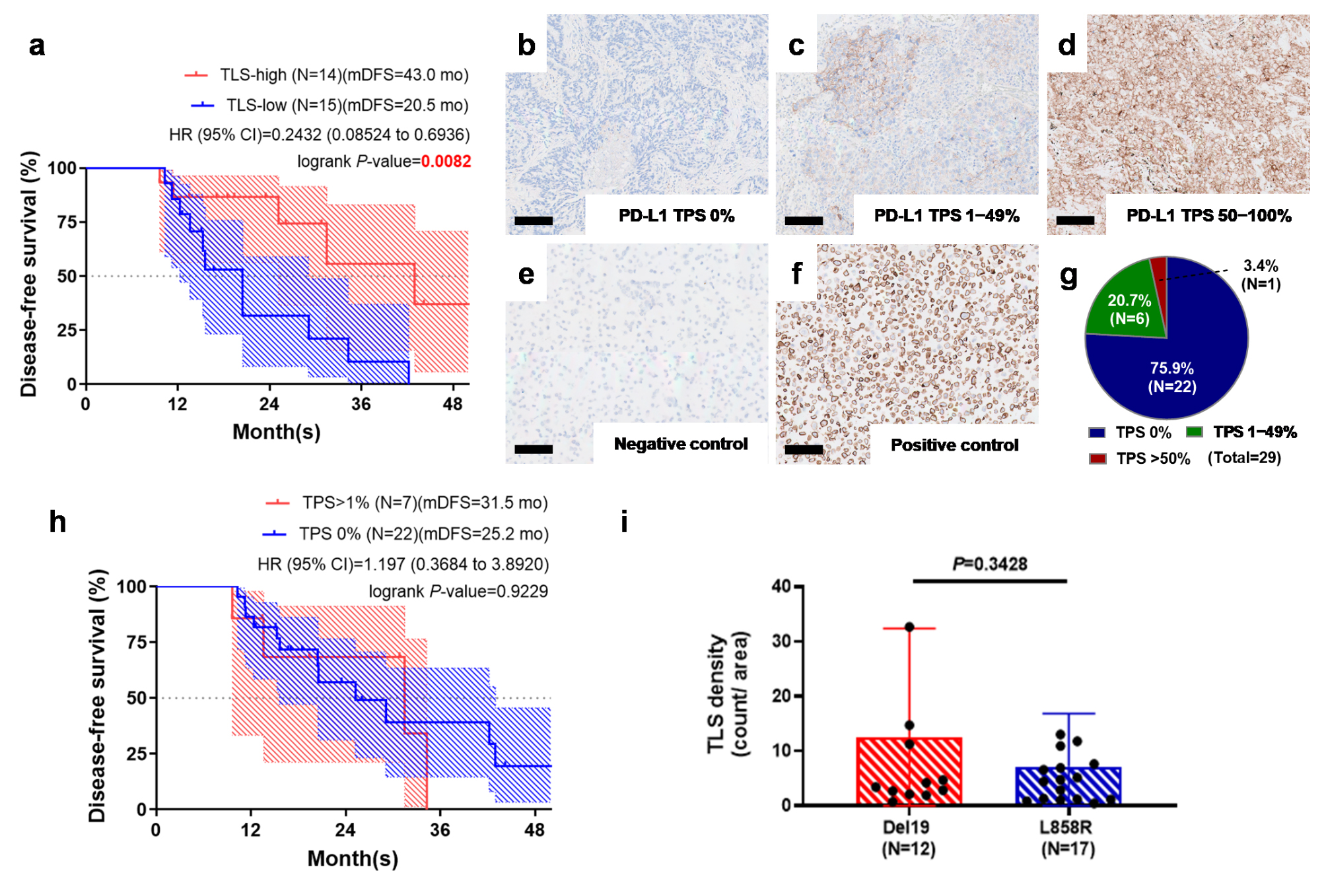 Cancers 17 02379 g003