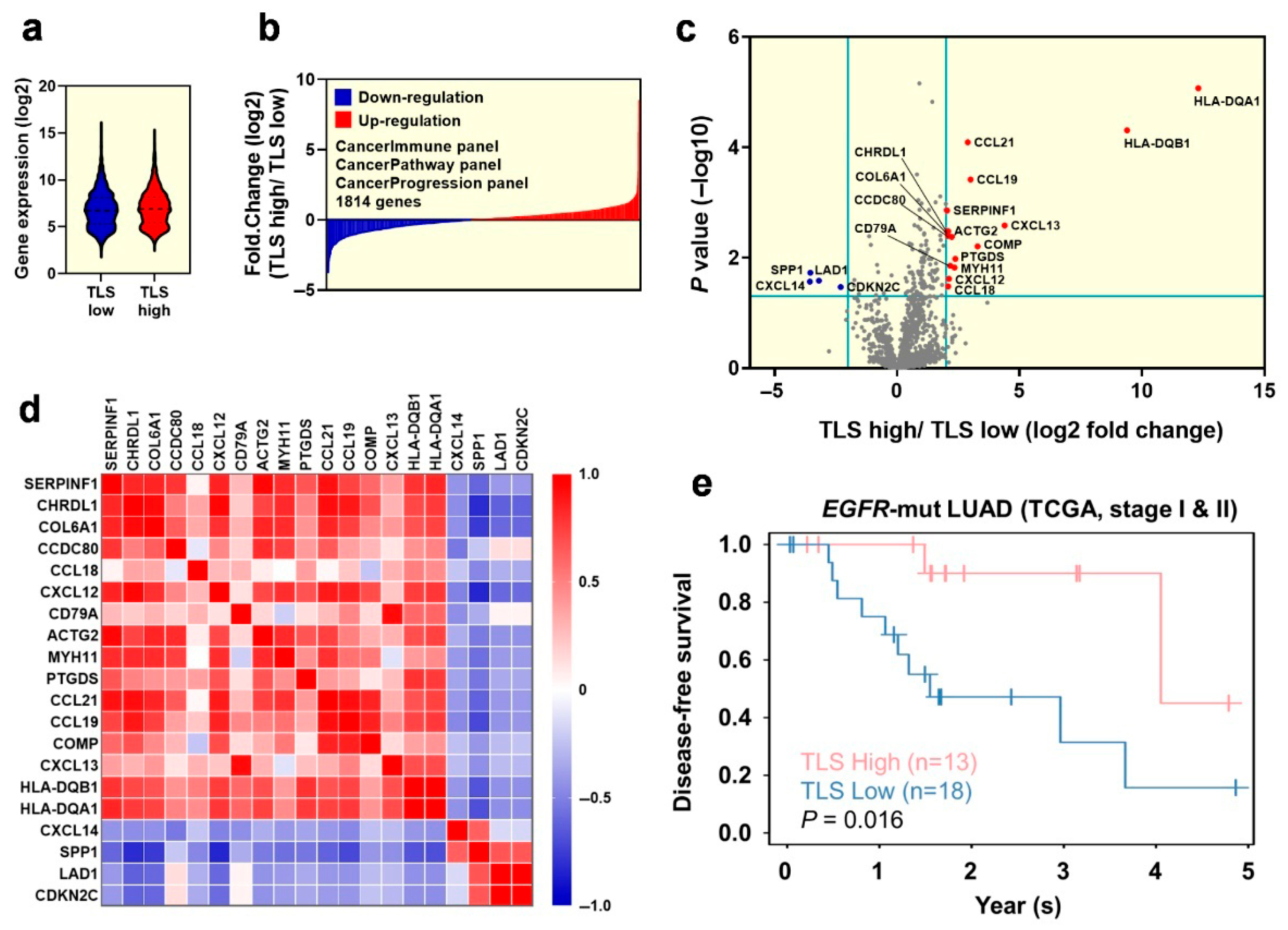Cancers 17 02379 g004