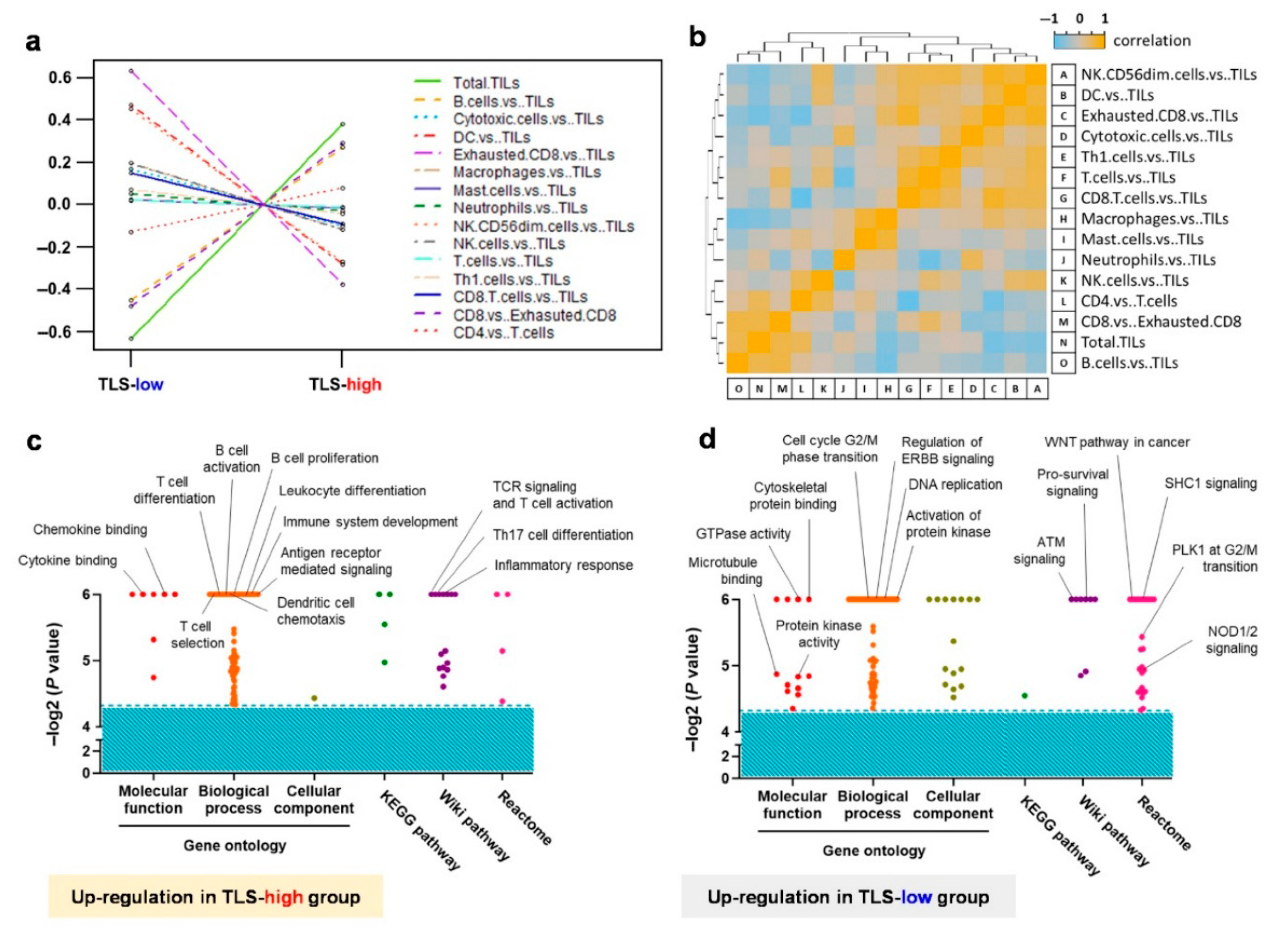Cancers 17 02379 g005