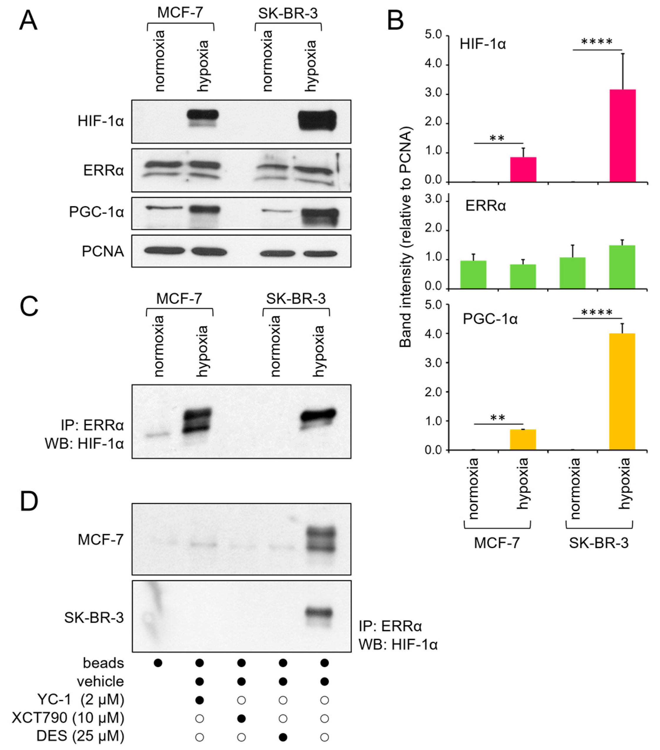 Cancers 17 02382 g001