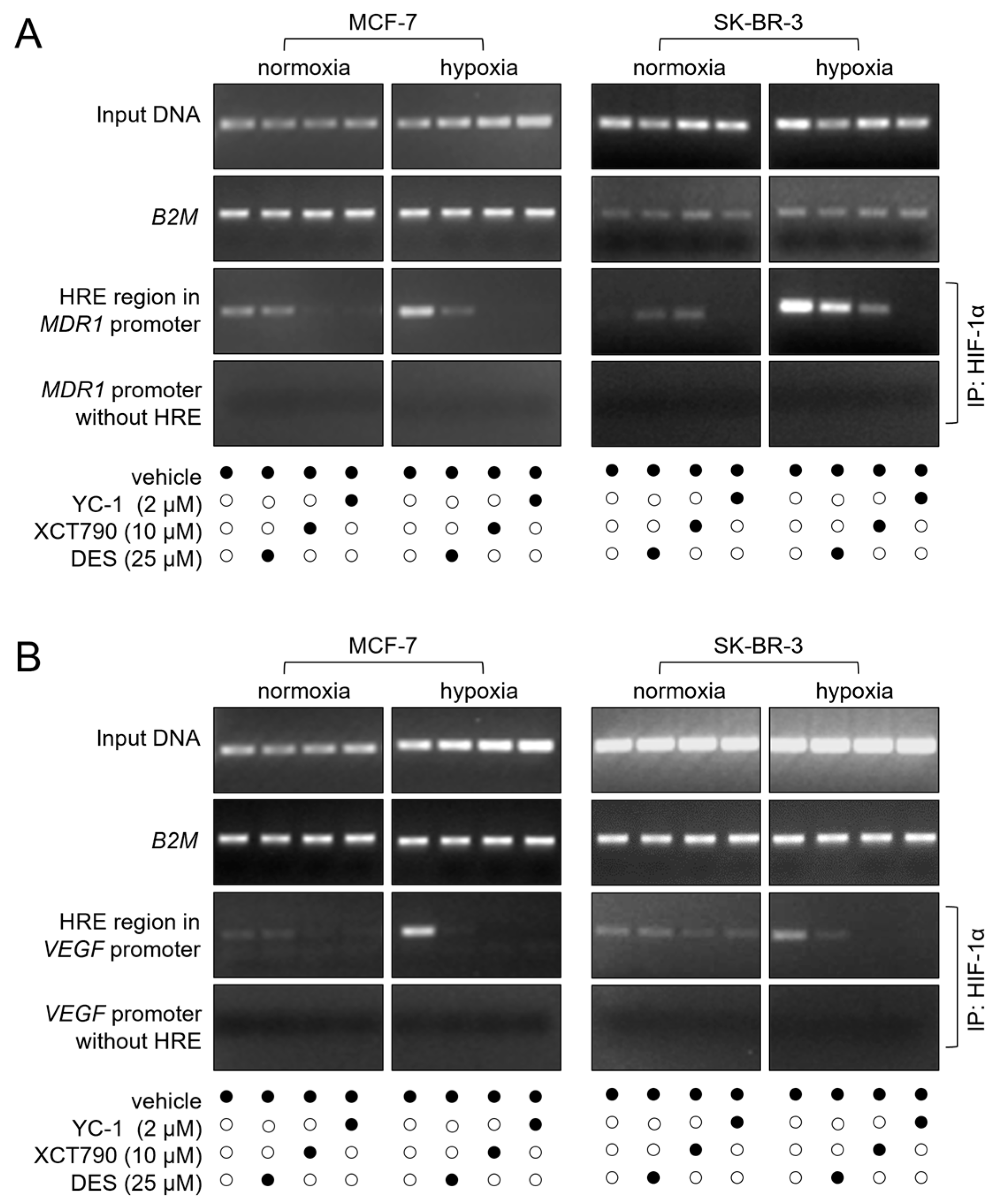 Cancers 17 02382 g004