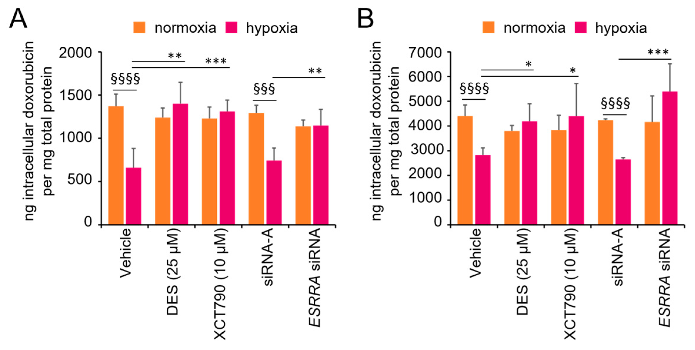 Cancers 17 02382 g005