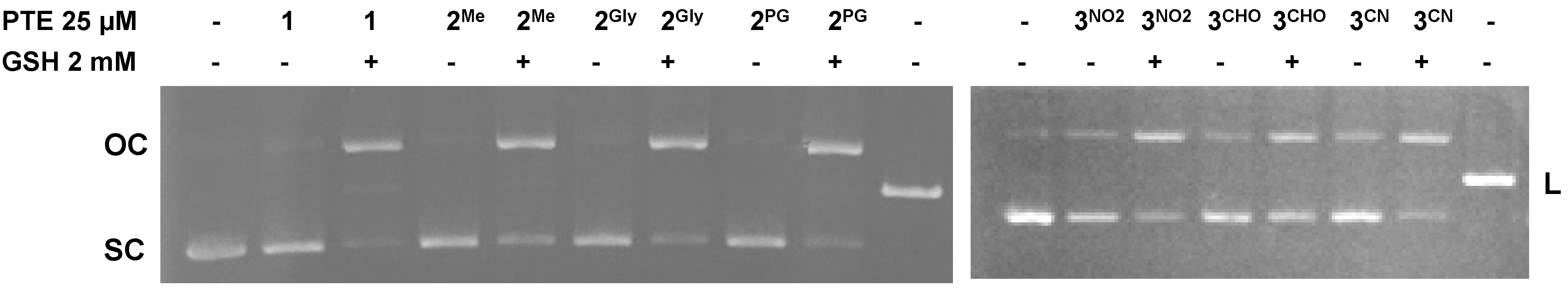 Cancers 17 02393 g011 Cancers 17 02393 g011