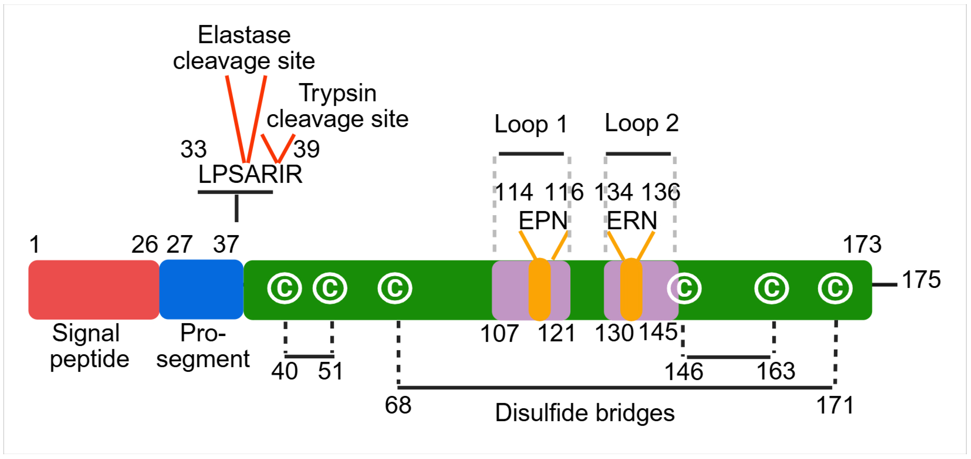 Cancers 17 02395 g001 Cancers 17 02395 g001