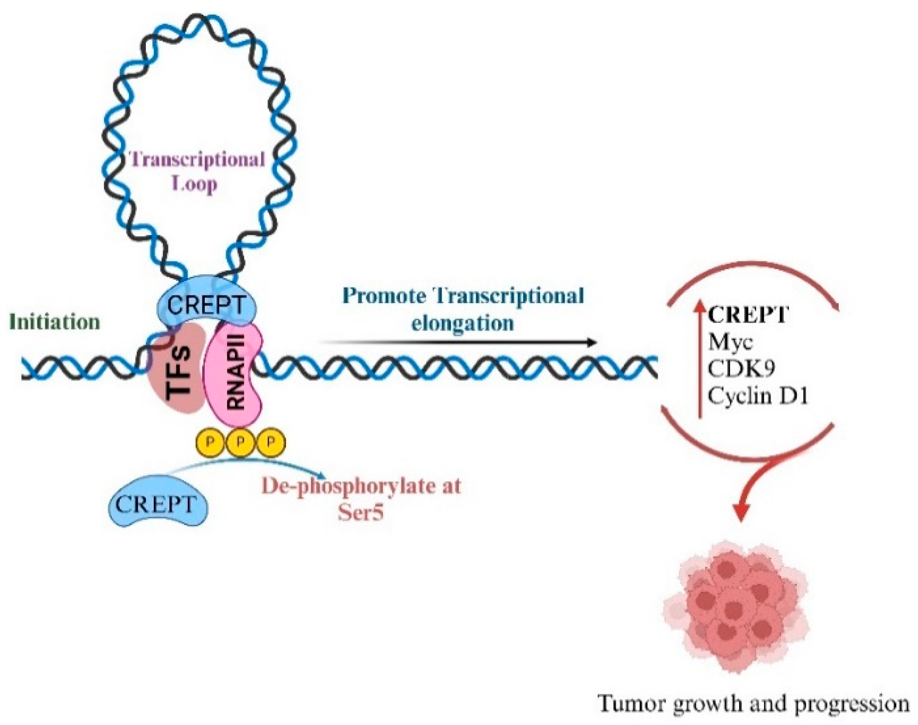 Cancers 17 02401 g001