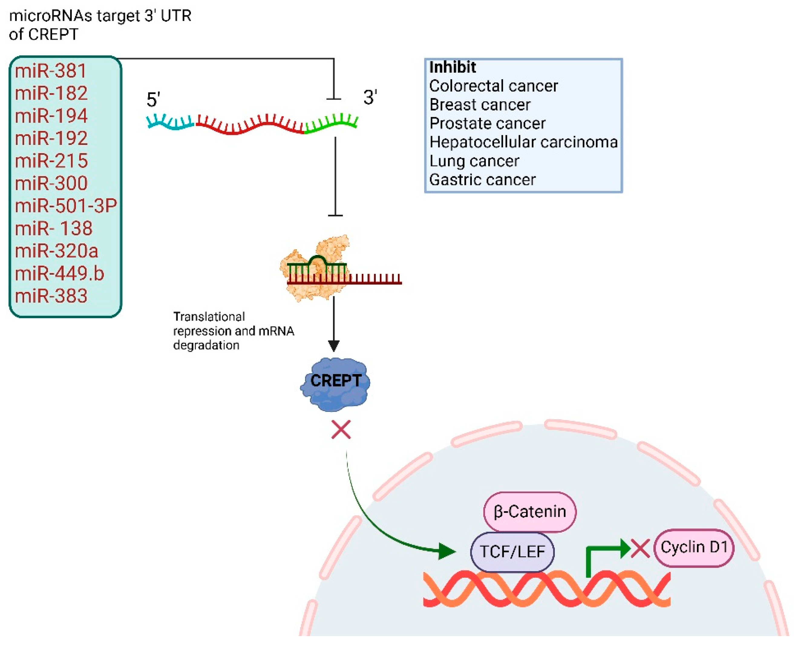 Cancers 17 02401 g002