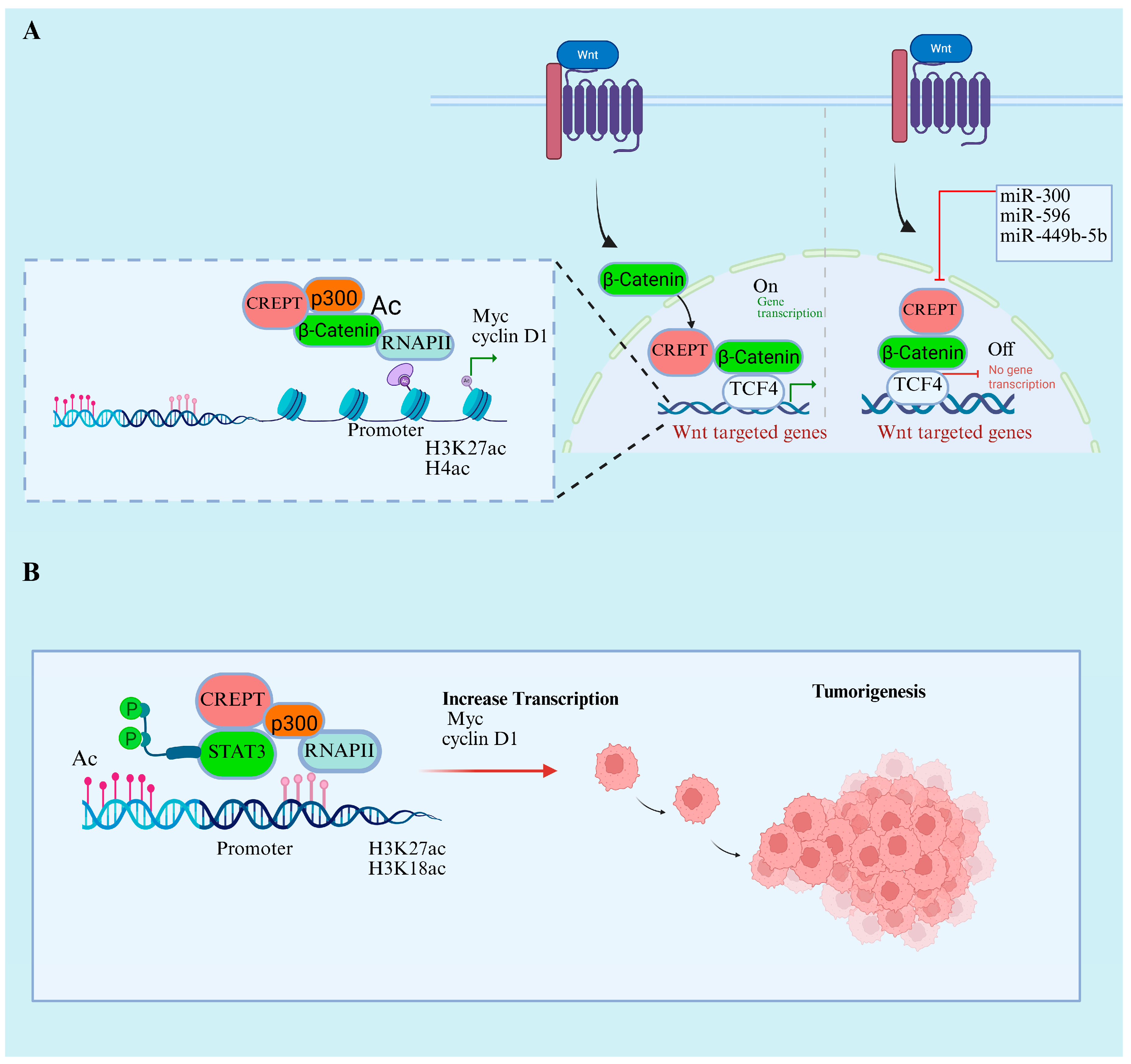 Cancers 17 02401 g004