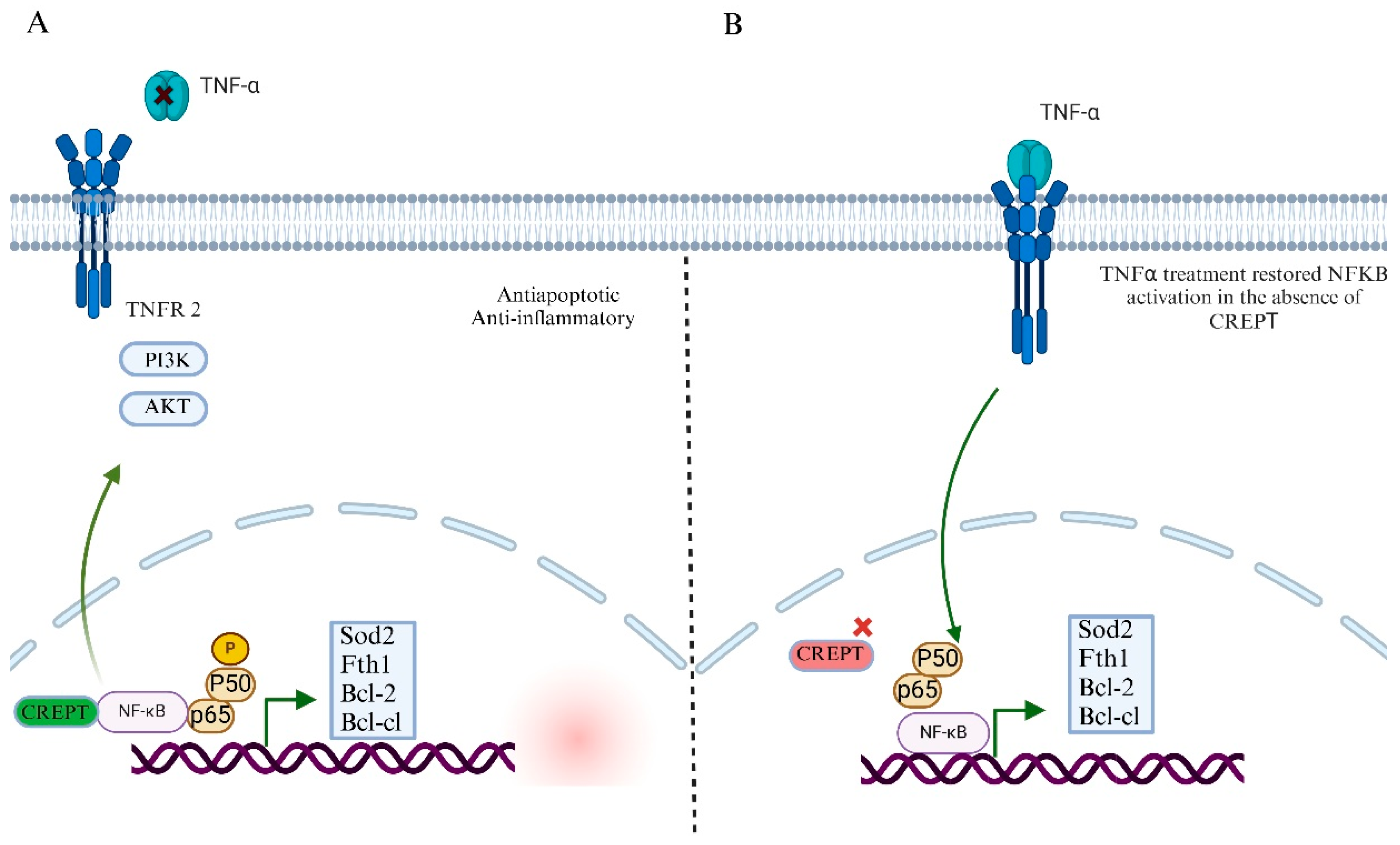 Cancers 17 02401 g005
