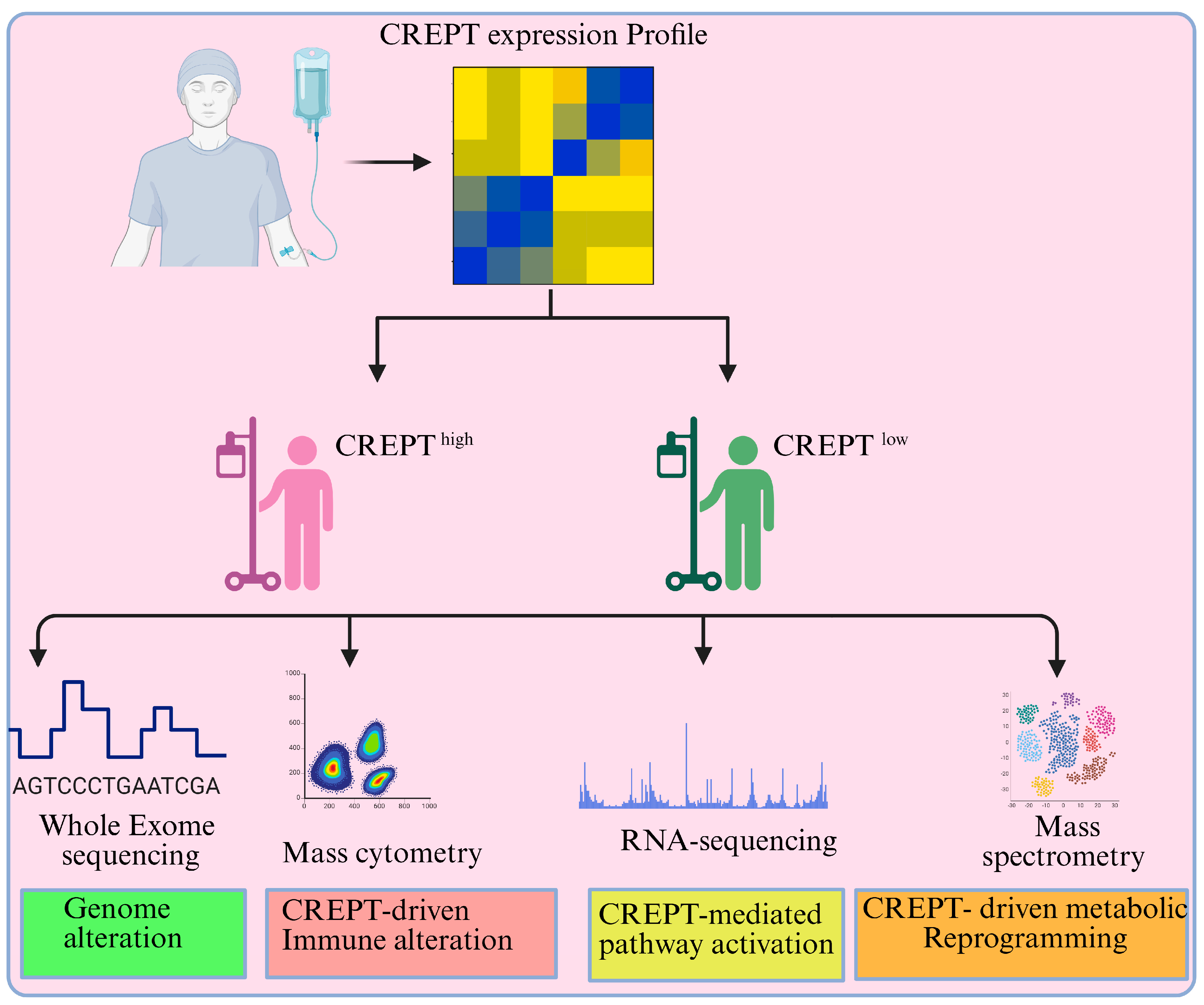 Cancers 17 02401 g007