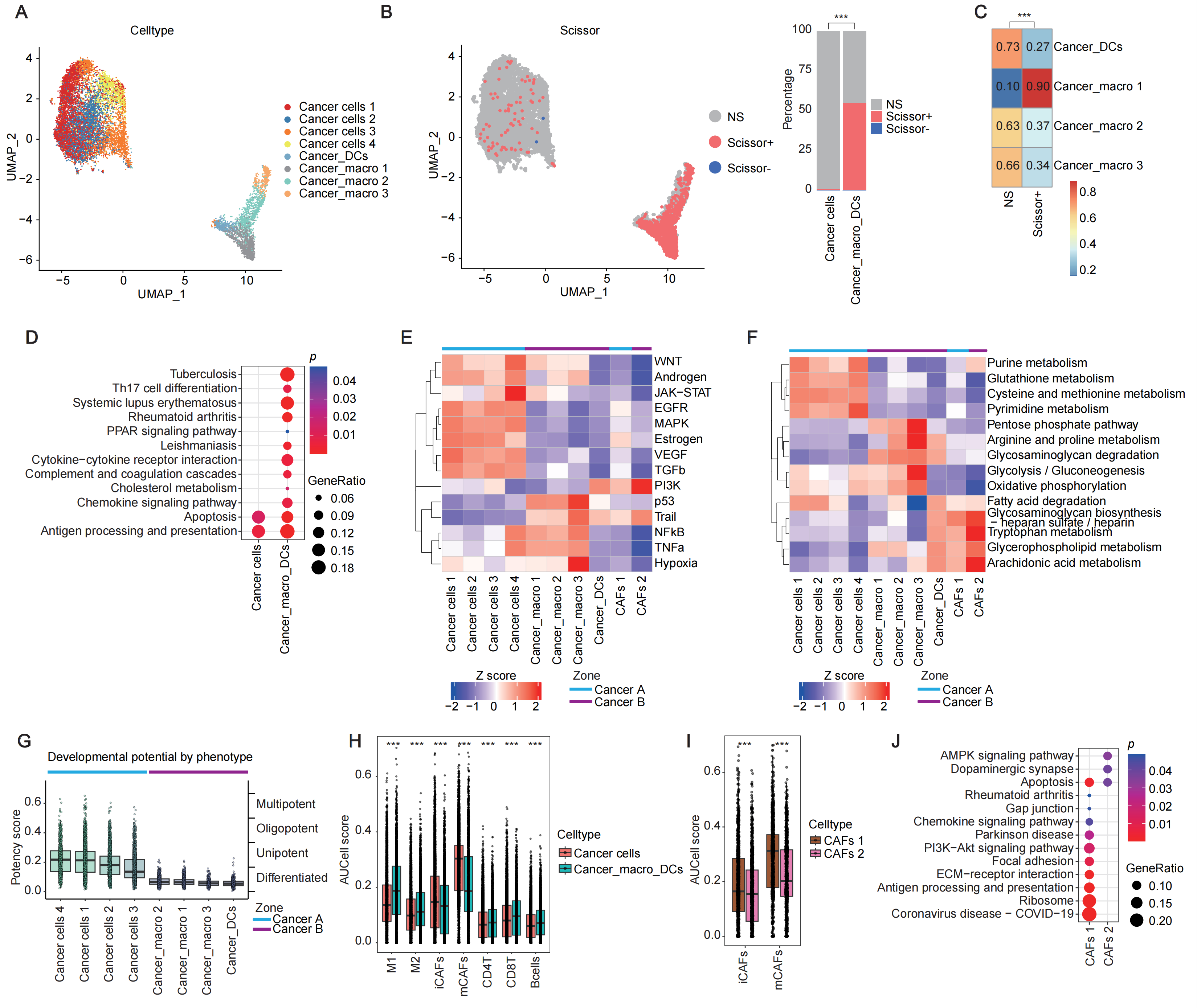 Cancers 17 02402 g002